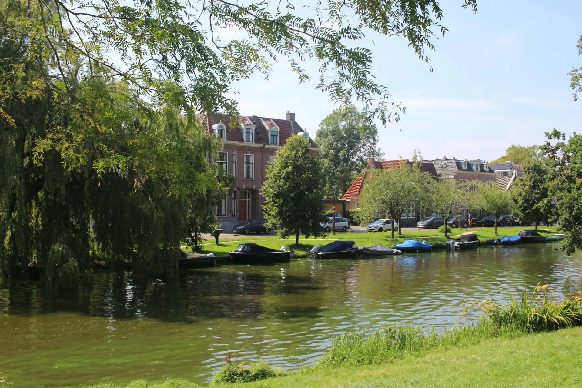 Alkmaar Canal Viewwith Boatsand Trees Wallpaper