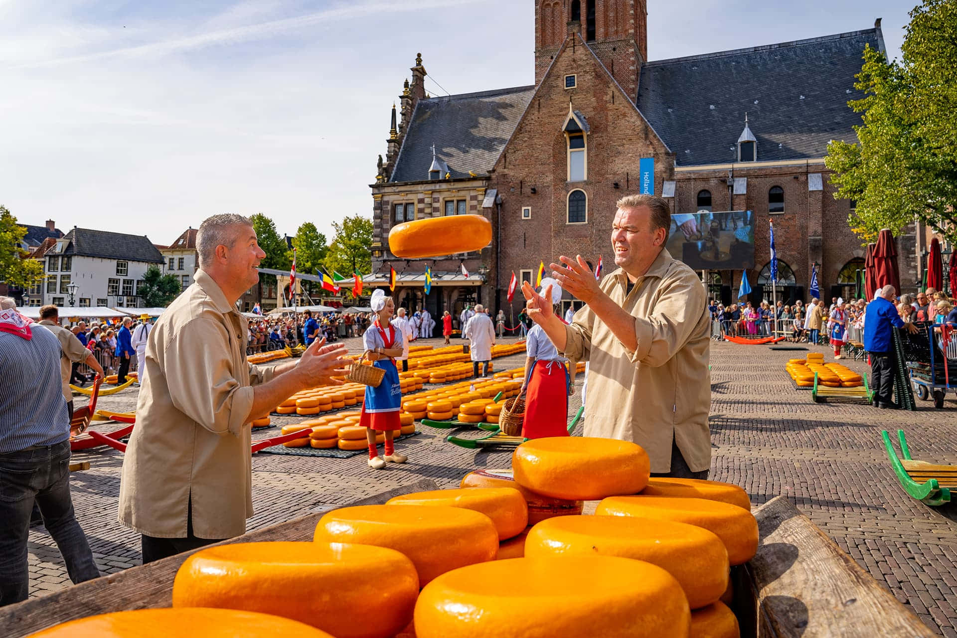 Alkmaar Cheese Market Tradition Wallpaper