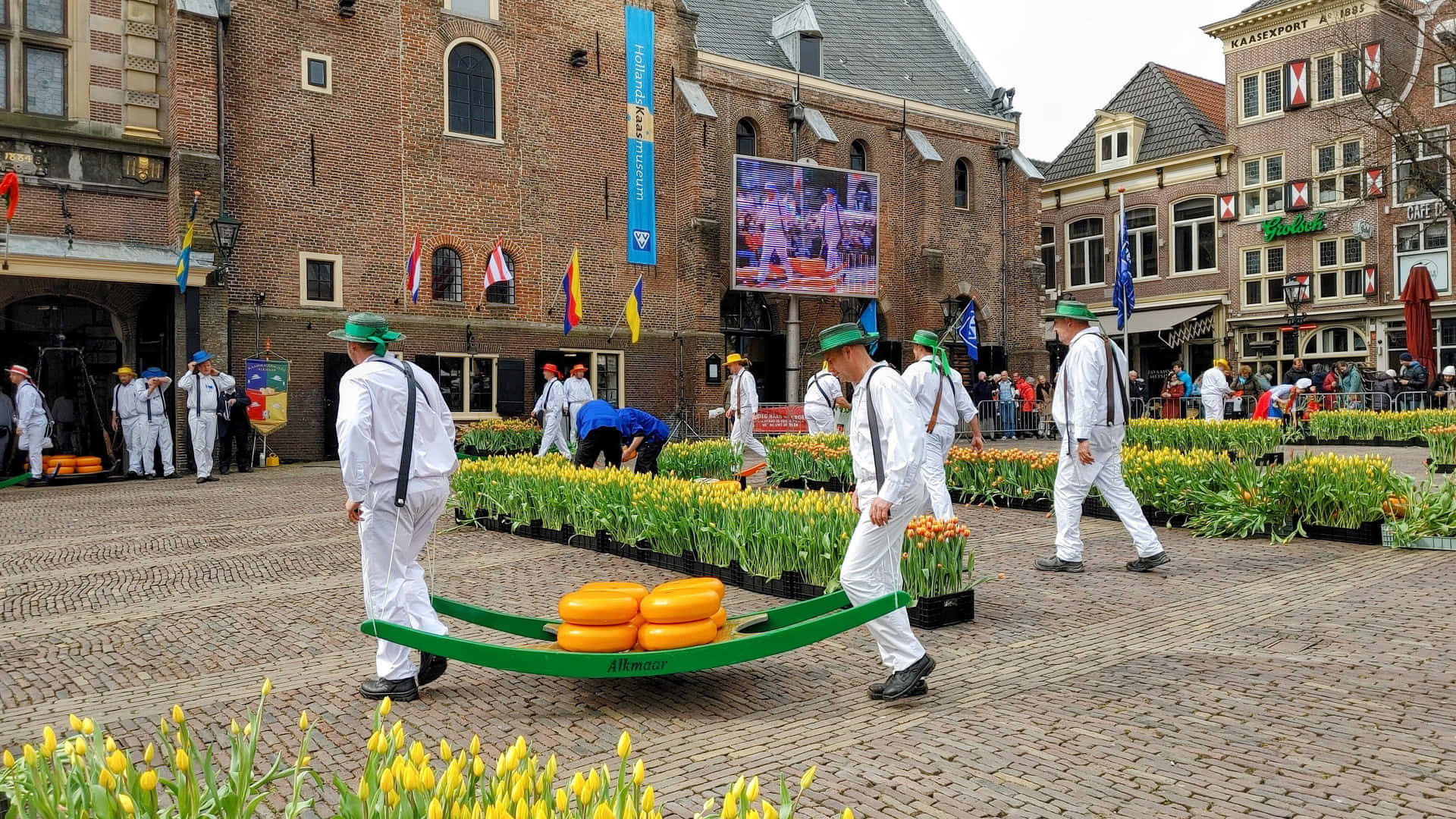 Alkmaar Cheese Market Traditional Carriers Wallpaper