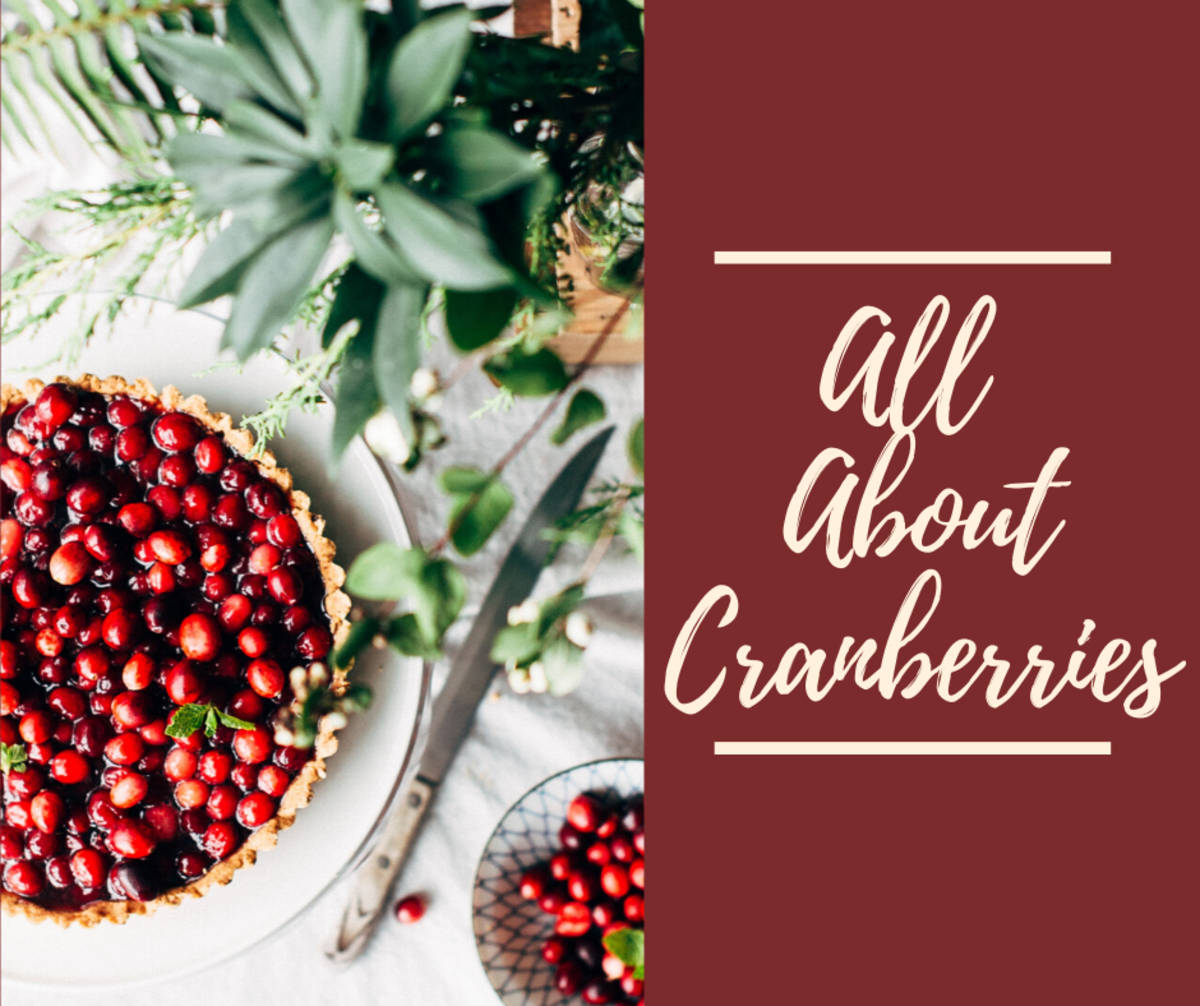 All About Cranberries Graphic Design Wallpaper