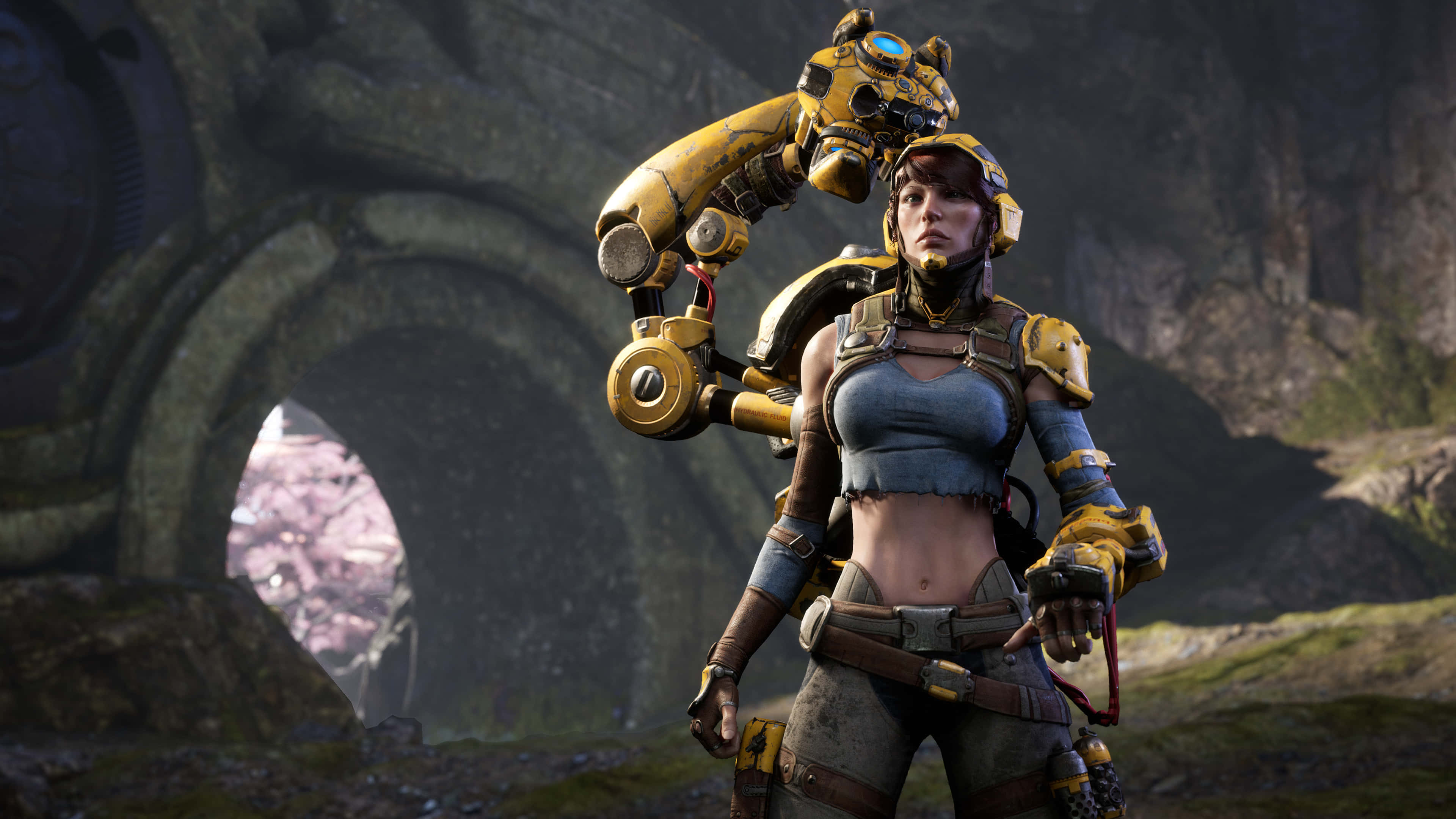 A Female Character In A Game With A Robot Wallpaper