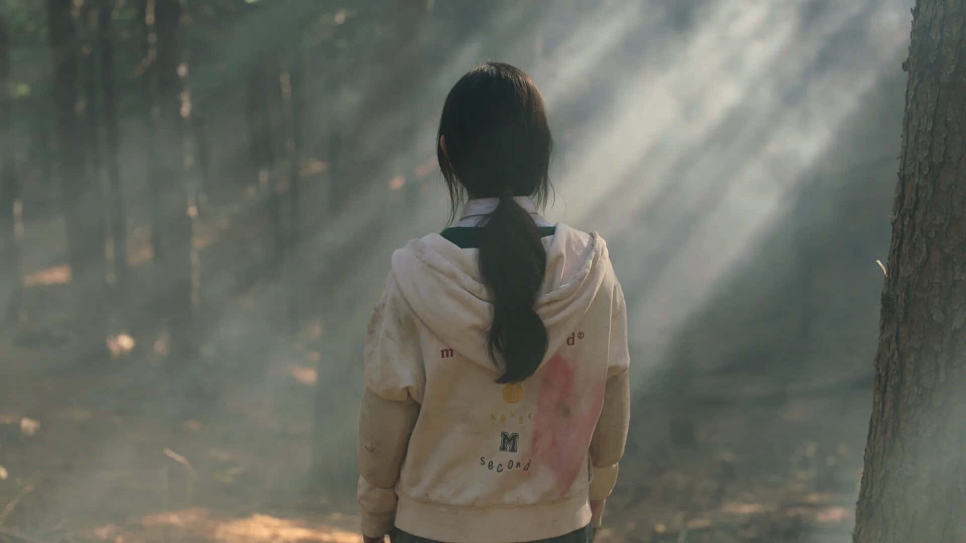 A Girl In A Hoodie Standing In The Woods