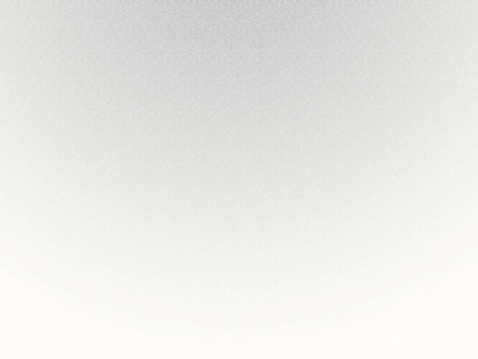 A Blank White Canvas for You to Explore