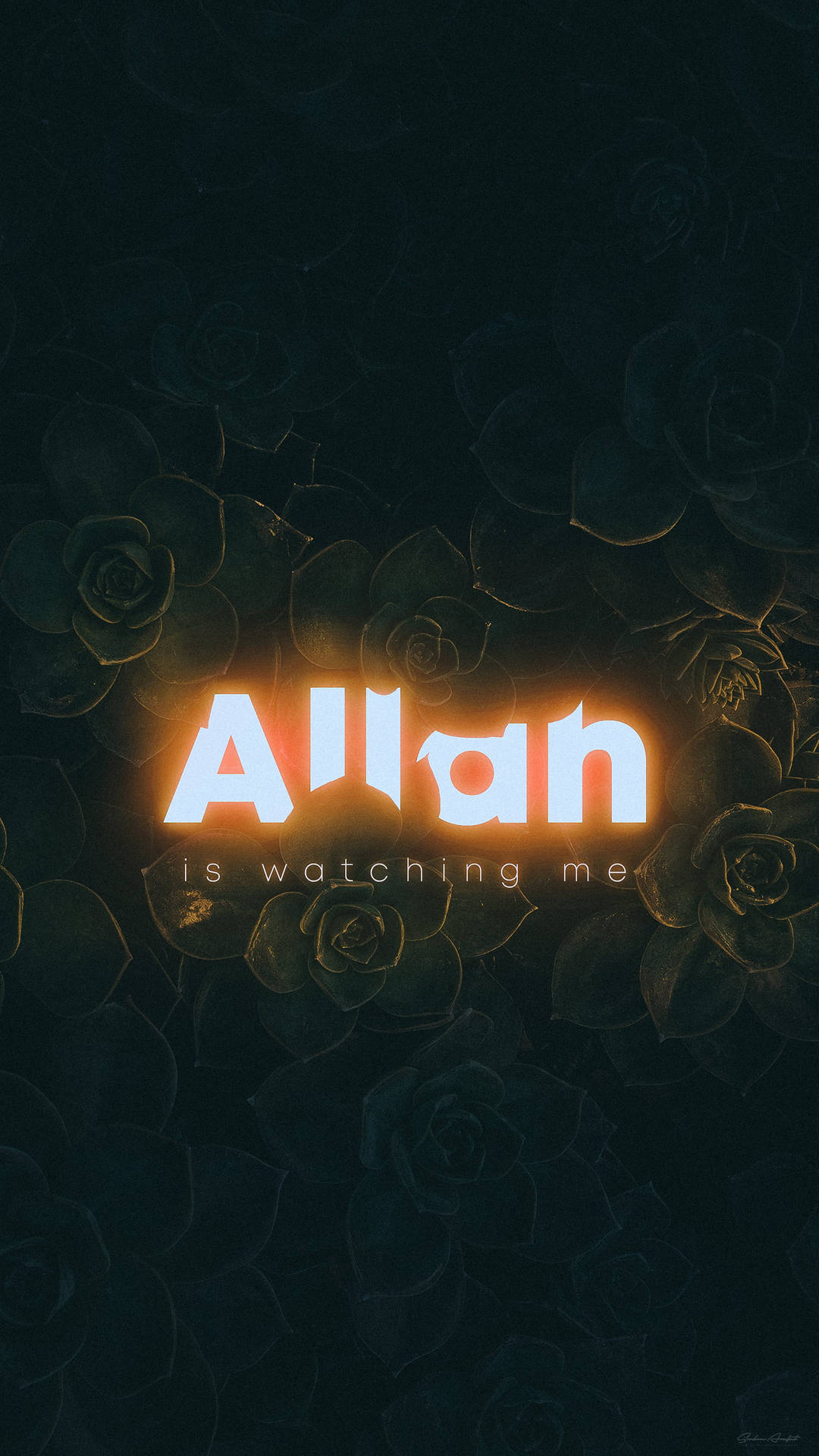 Allah Is Watching Me On Succulents Wallpaper