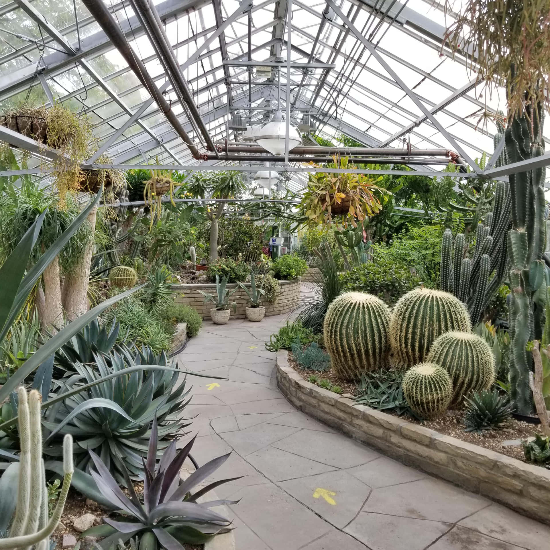 Allan Gardens Conservatory Interior Greenhouse Wallpaper