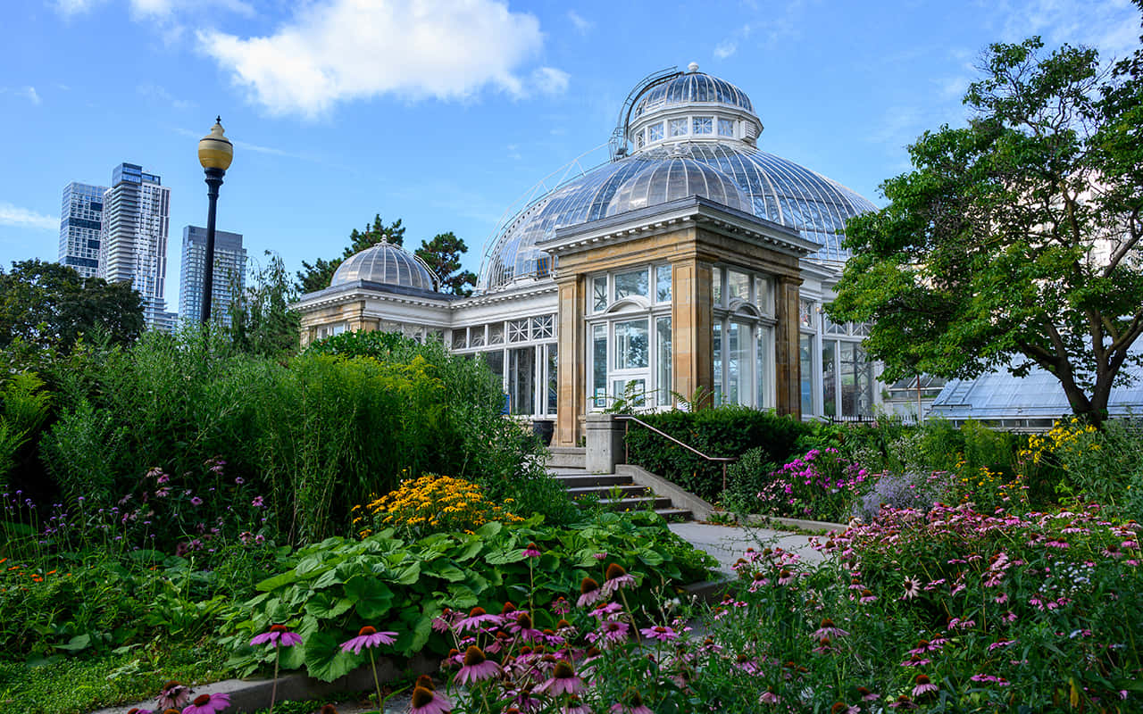 Allan Gardens Conservatory Toronto Wallpaper