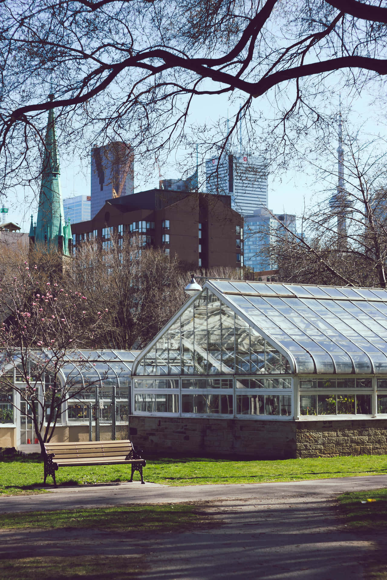 Allan Gardens Conservatory Toronto Skyline Wallpaper