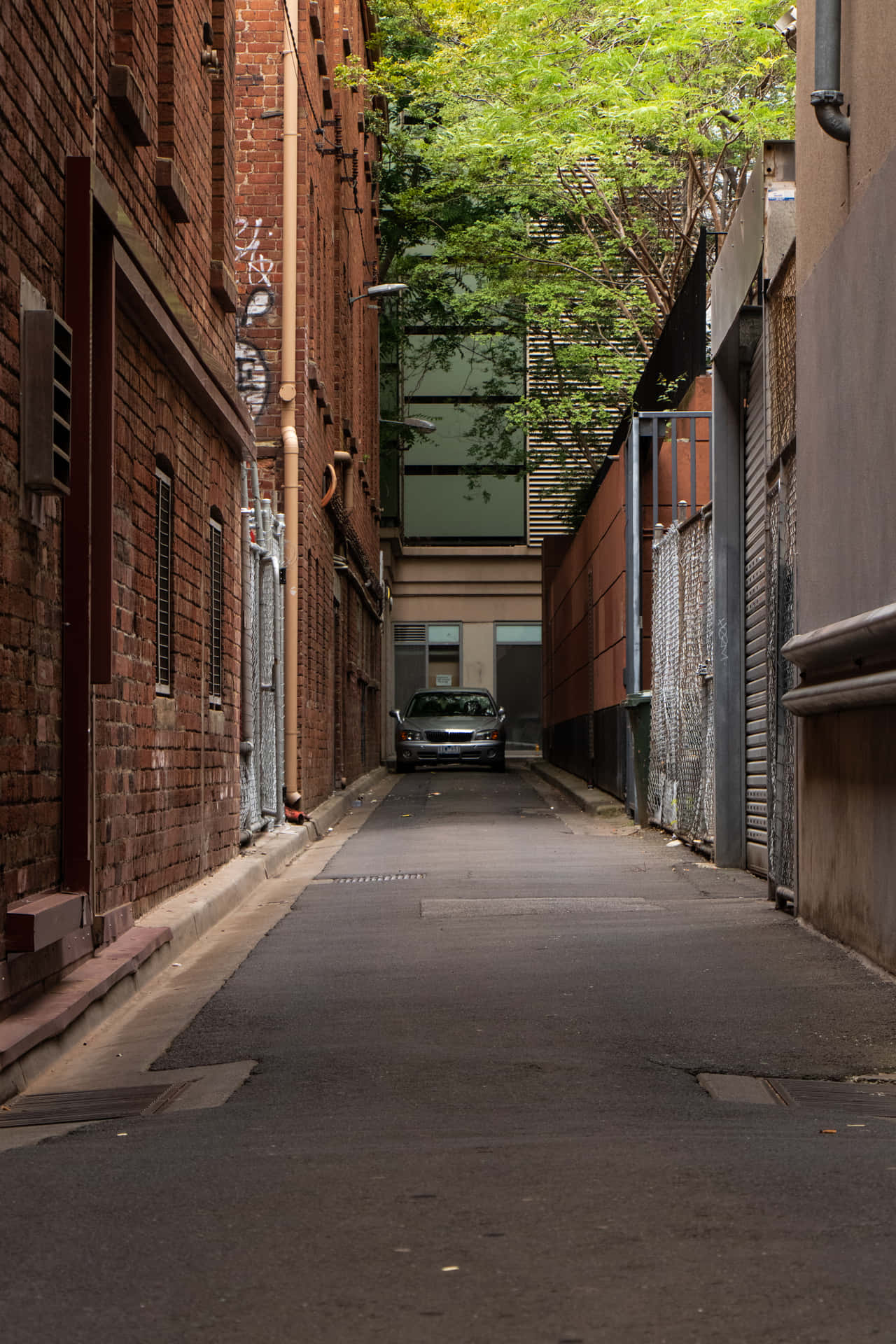 Car Passing Through Alley Background
