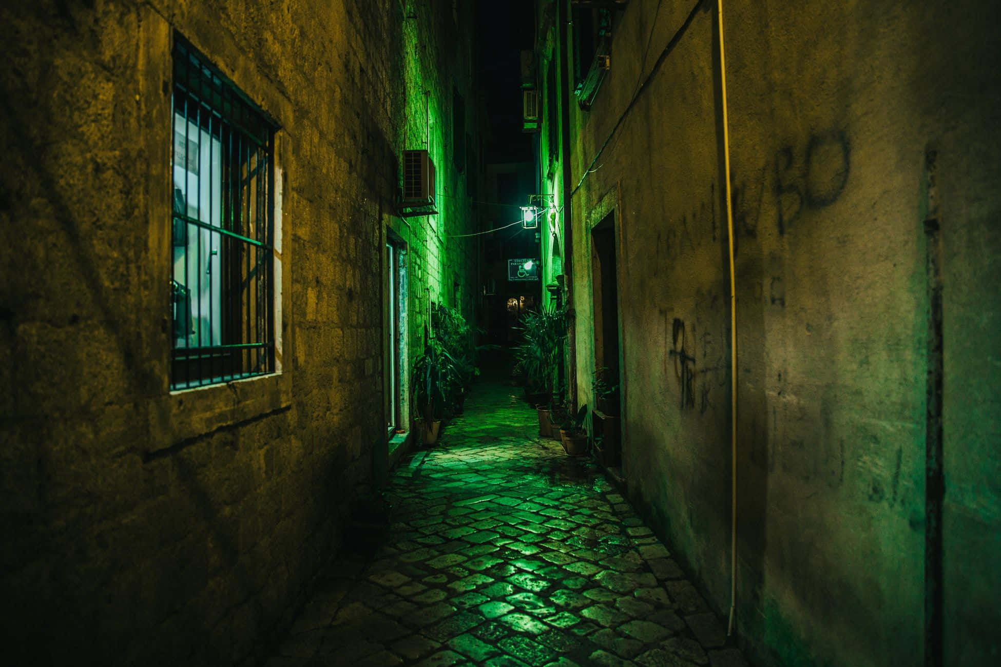 Explore the charming alleyways of the city.