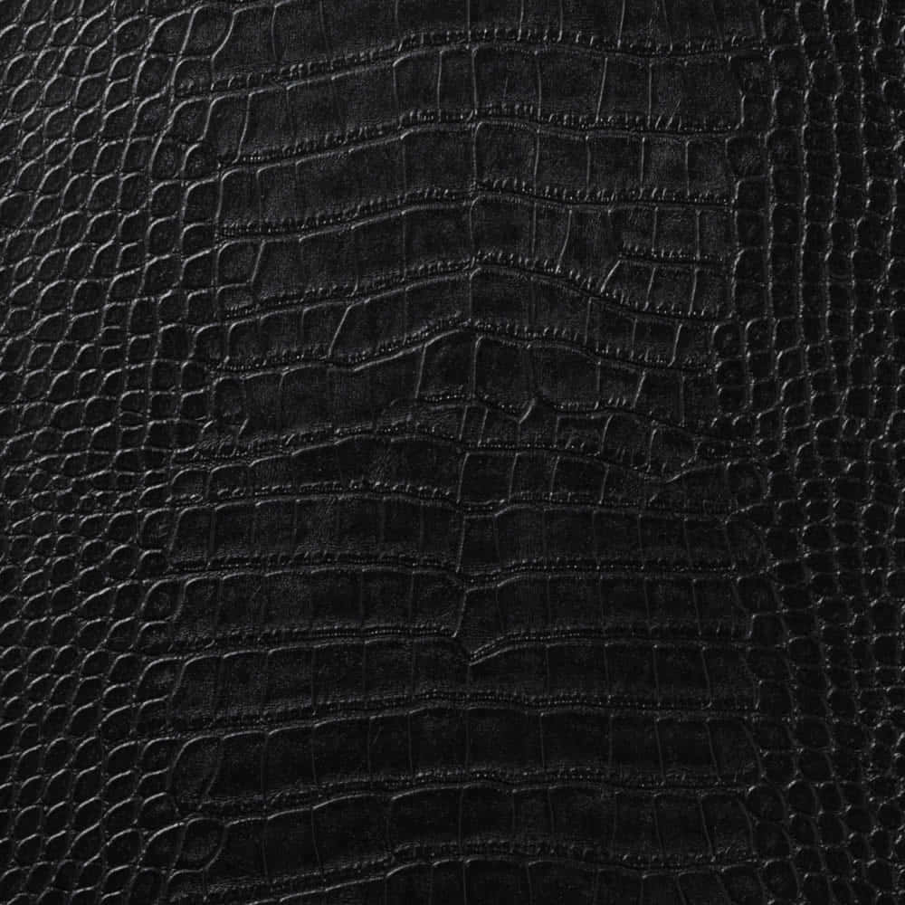 Closeup of an Alligator's Scaly Hide