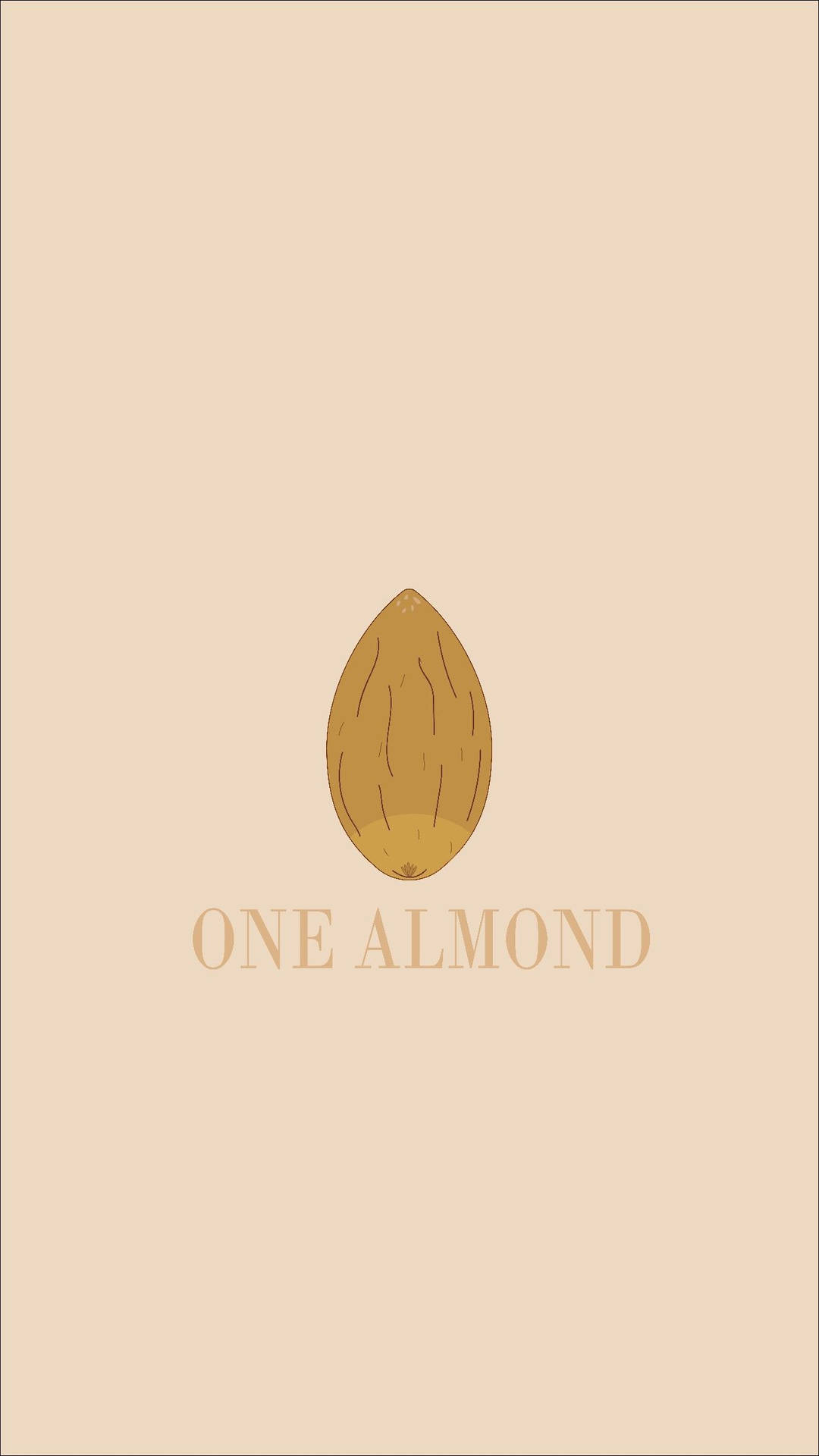 Almond Logo Digital Illustration