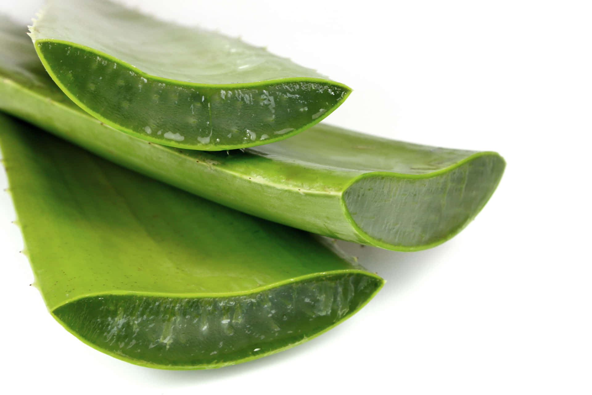 Aloe Vera - Nature's Healer