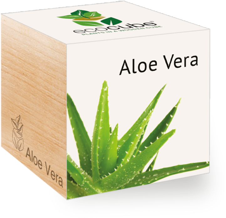 Aloe Vera Eco Cubes Packaging PNG