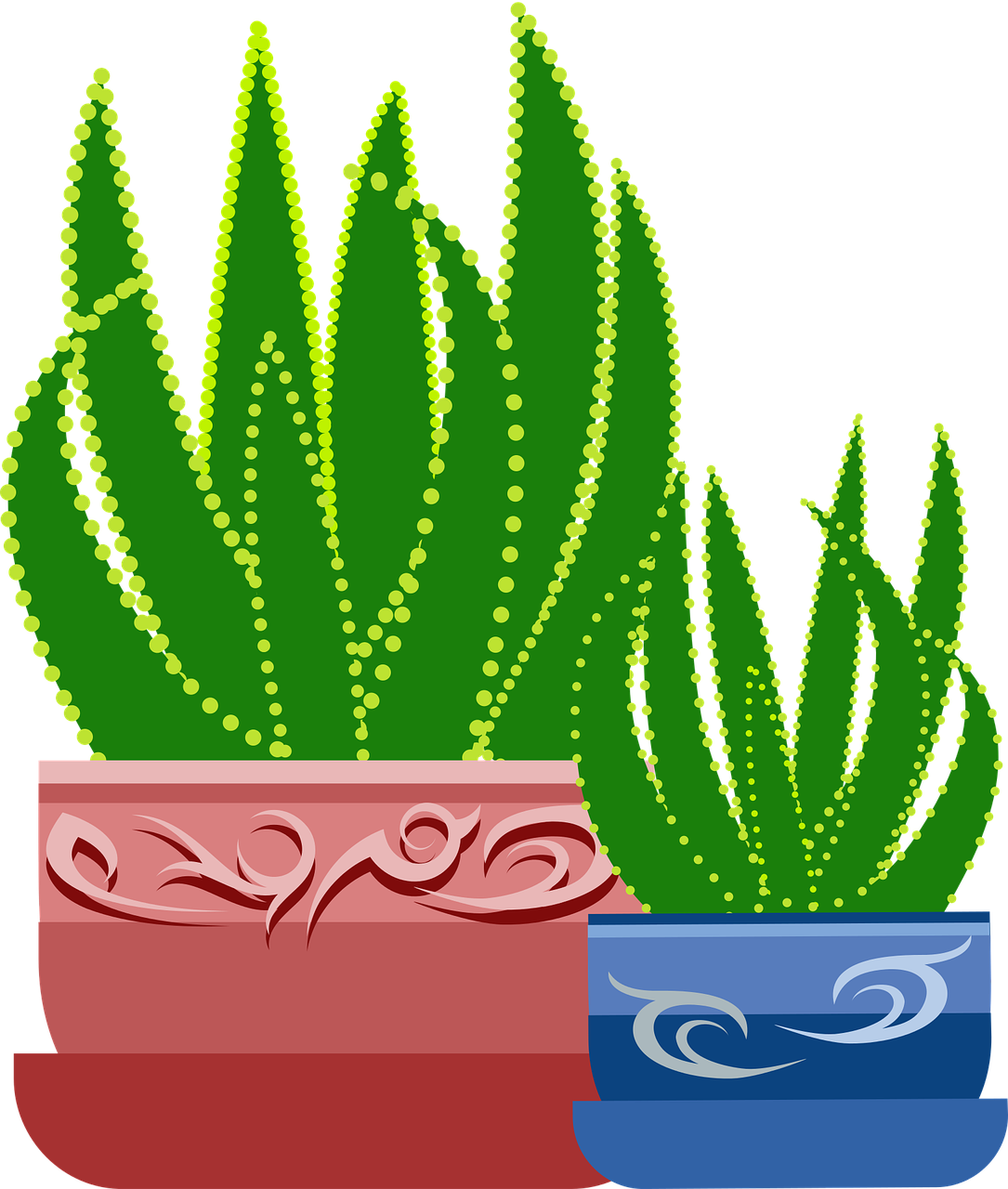 Aloe Vera Plantsin Decorative Pots PNG