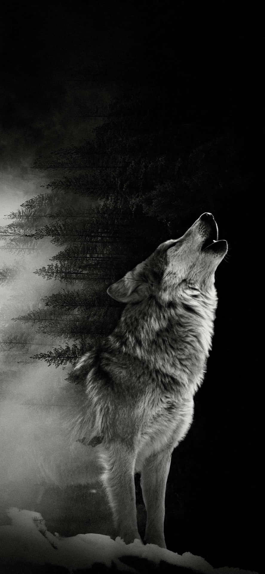 Download wallpaper 750x1334 alpha, movie 2018, man and wolf, iphone 7,  iphone 8, 750x1334 hd background, 14890