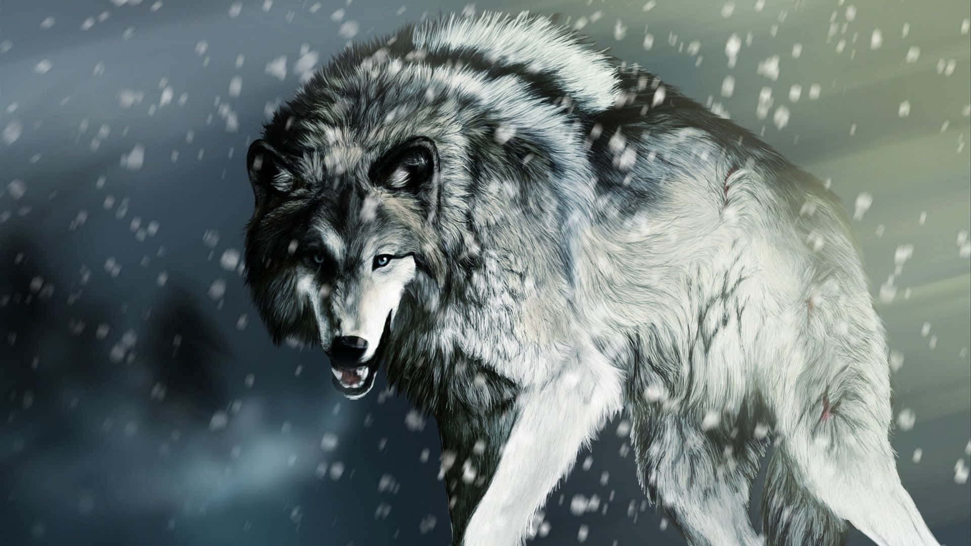 The commanding Alpha Wolf stands at the edge of the forest, staring fiercely across the landscape. Wallpaper