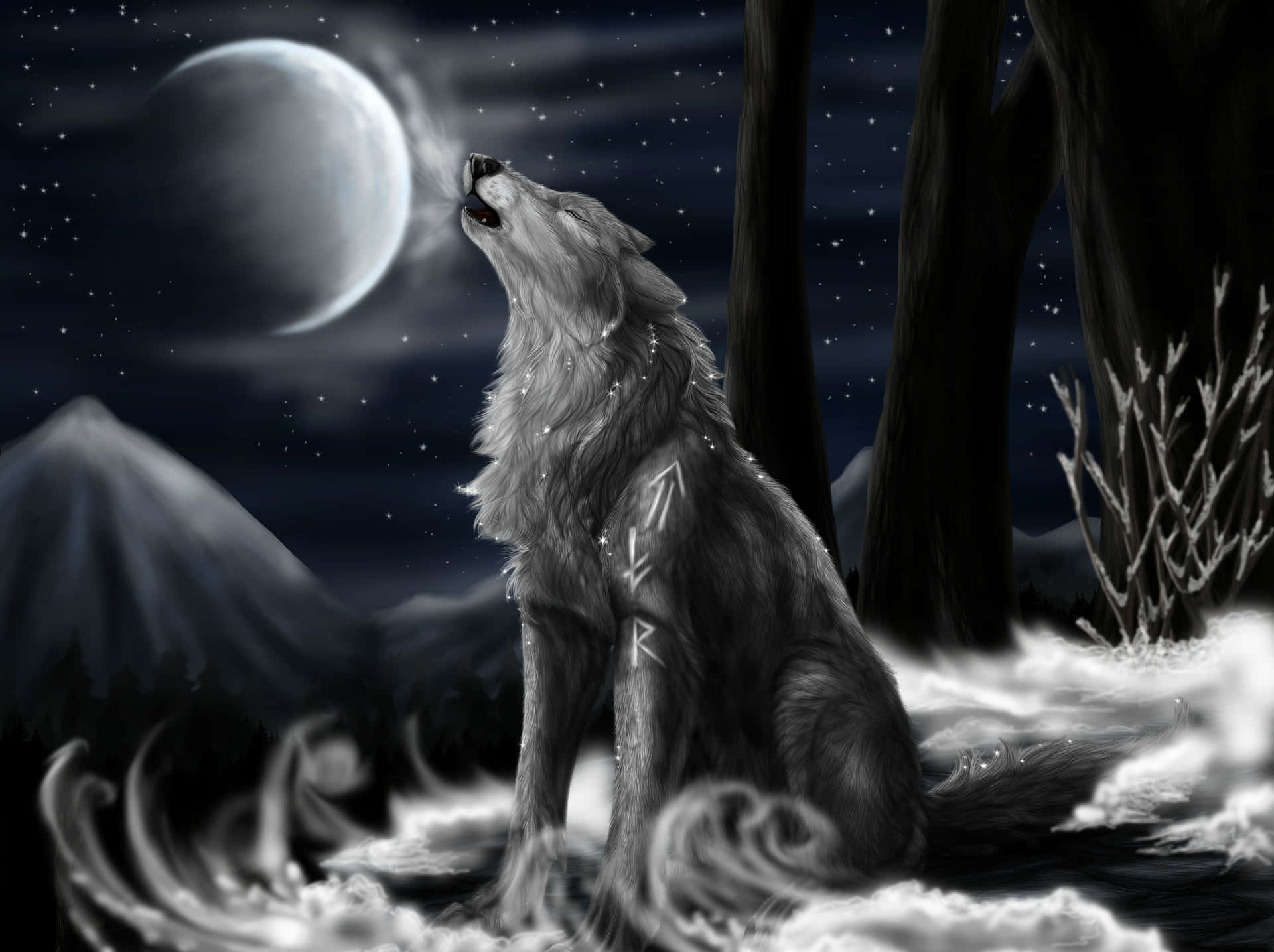Majestic Alpha Wolf Stands Tall Wallpaper