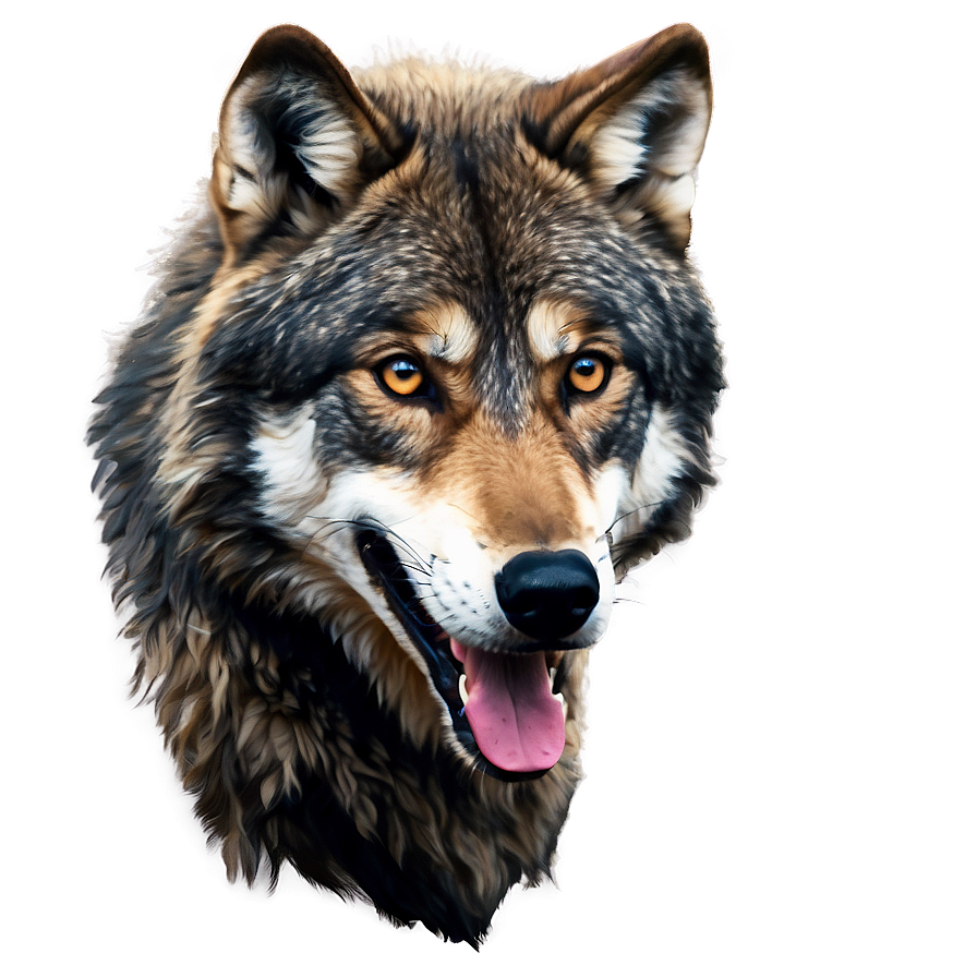 Alpha Wolf Illustration Png 77 PNG