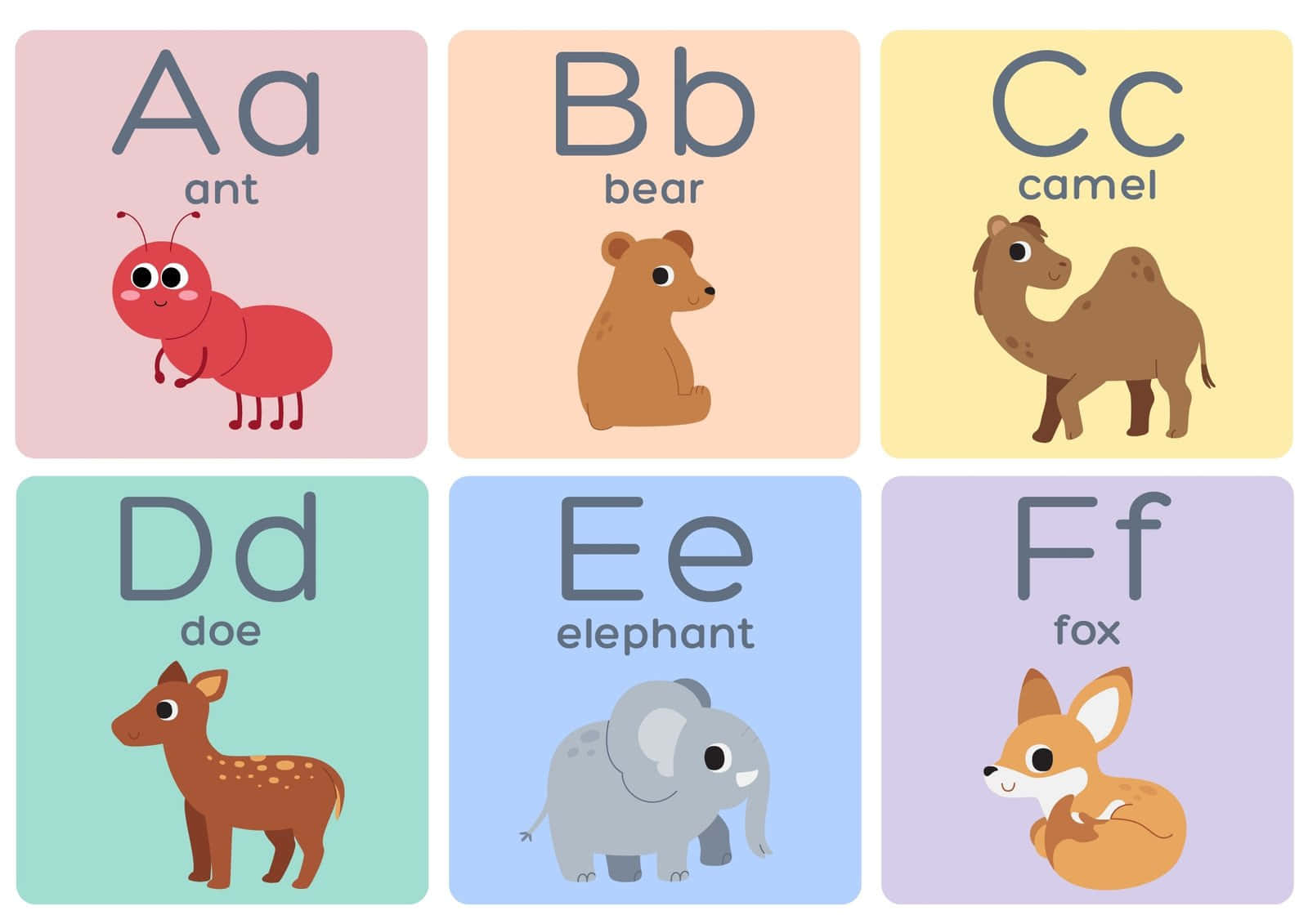 "Expanding Your Digital Horizons with Alphabet"