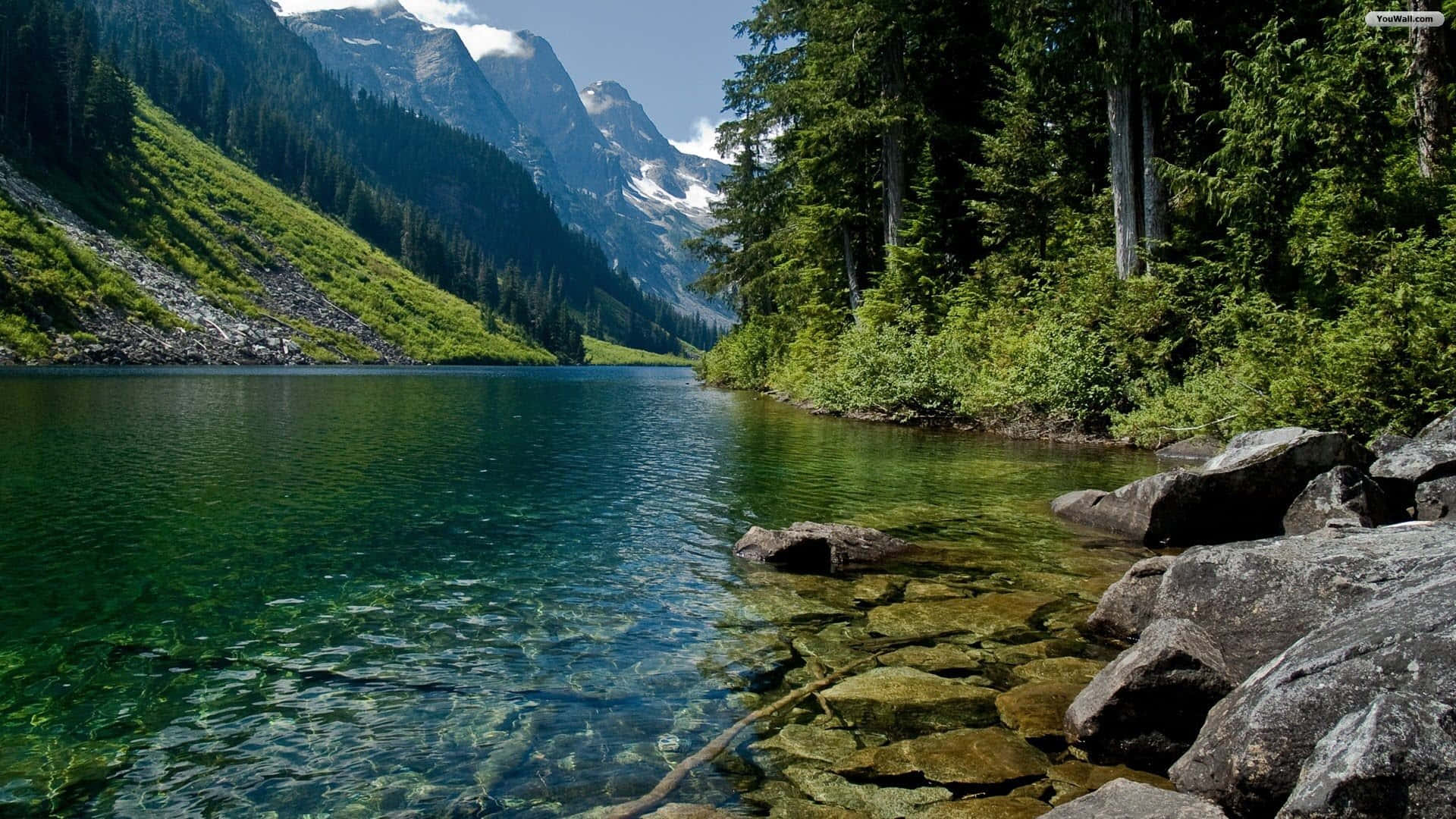 Fotografíade La Naturaleza De Un Río Alpino Fondo de pantalla