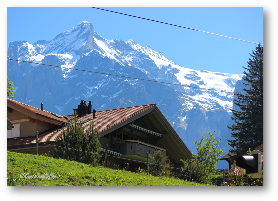 Alpine_ Summit_ Behind_ Chalet PNG