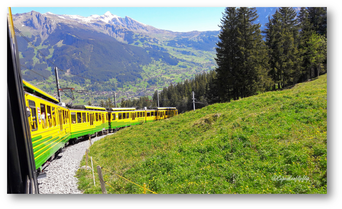 Alpine_ Train_ Journey PNG