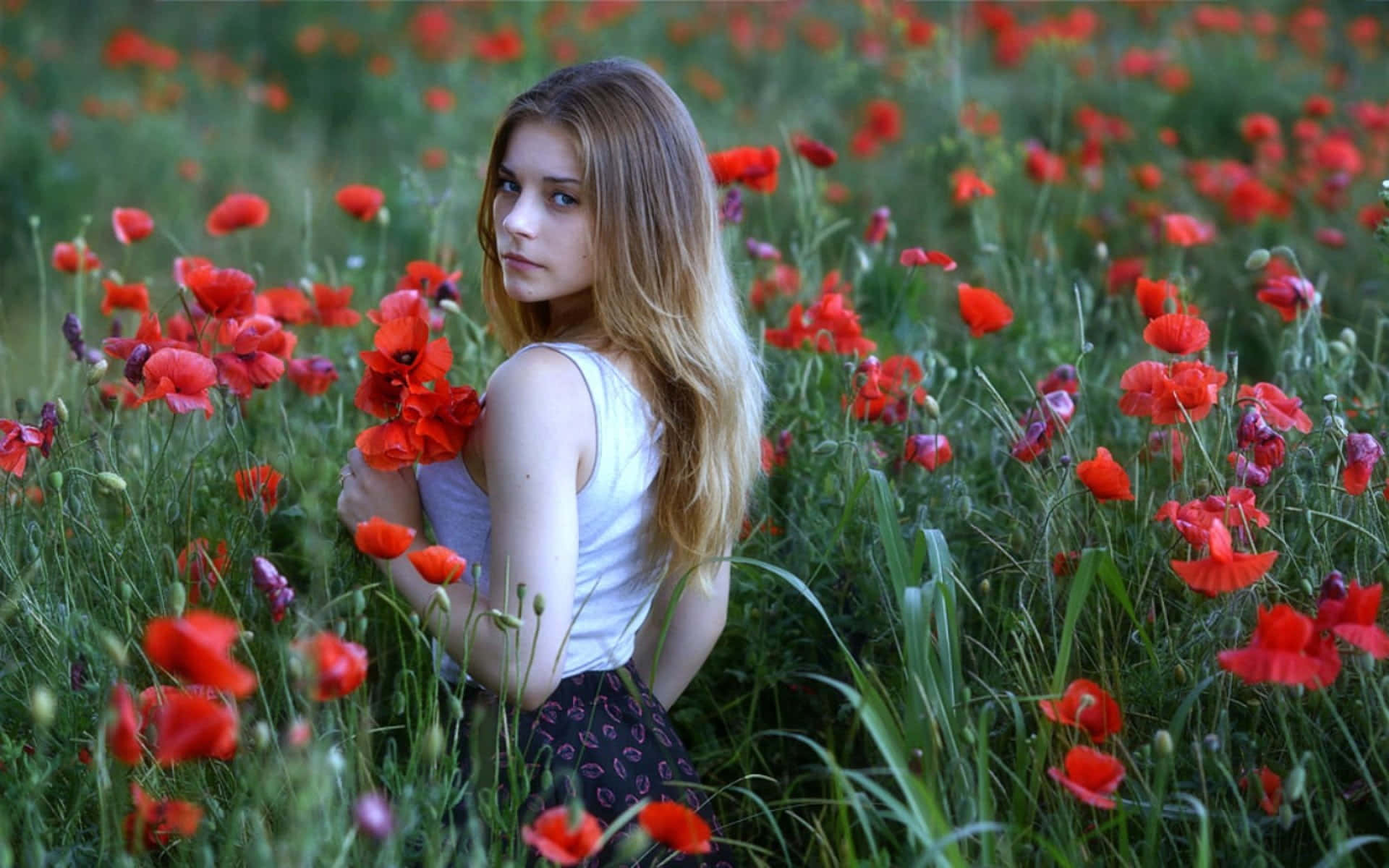 Amateurmodel Sammelt Rote Blumen Wallpaper