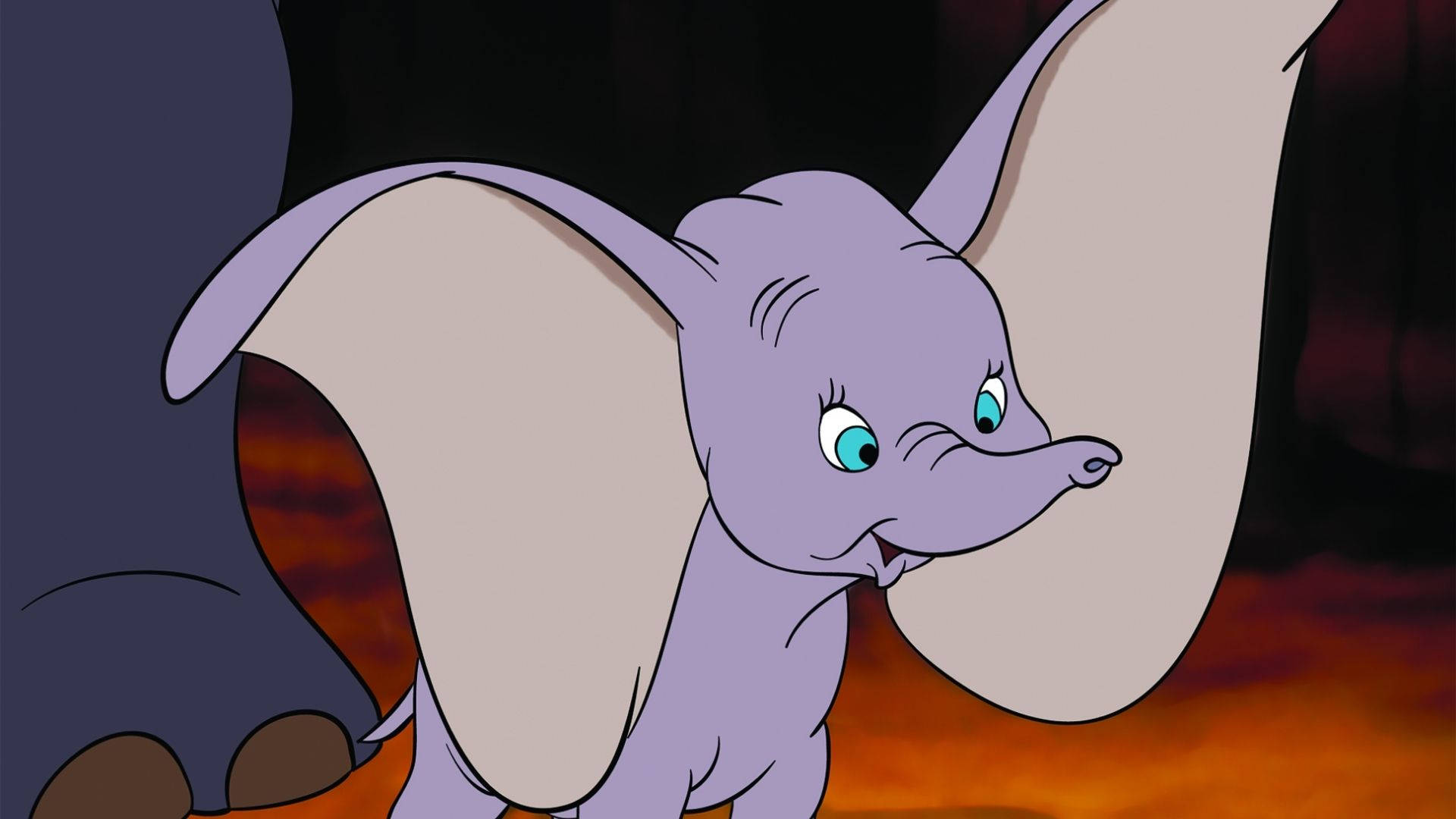 Amazed Baby Dumbo Background