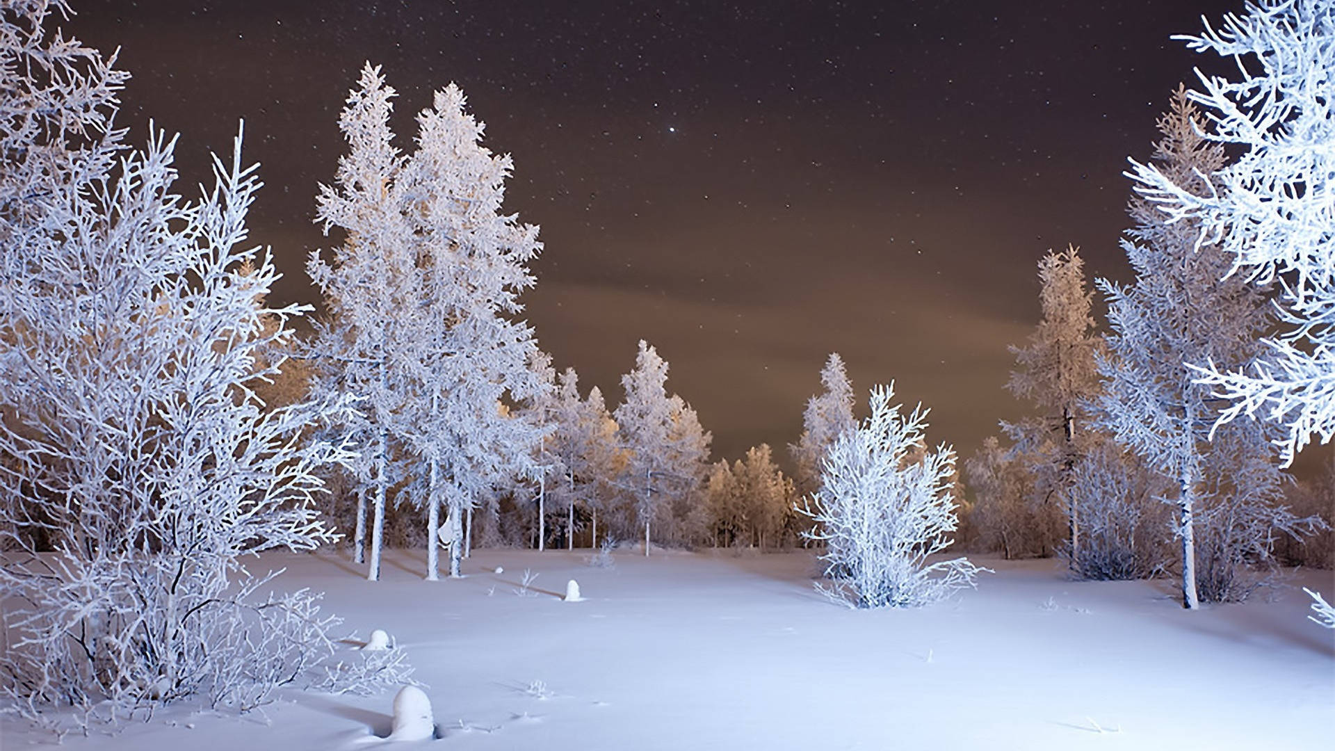Enjoy The Beauty of the Winter with Amazing 4K Wallpaper Wallpaper