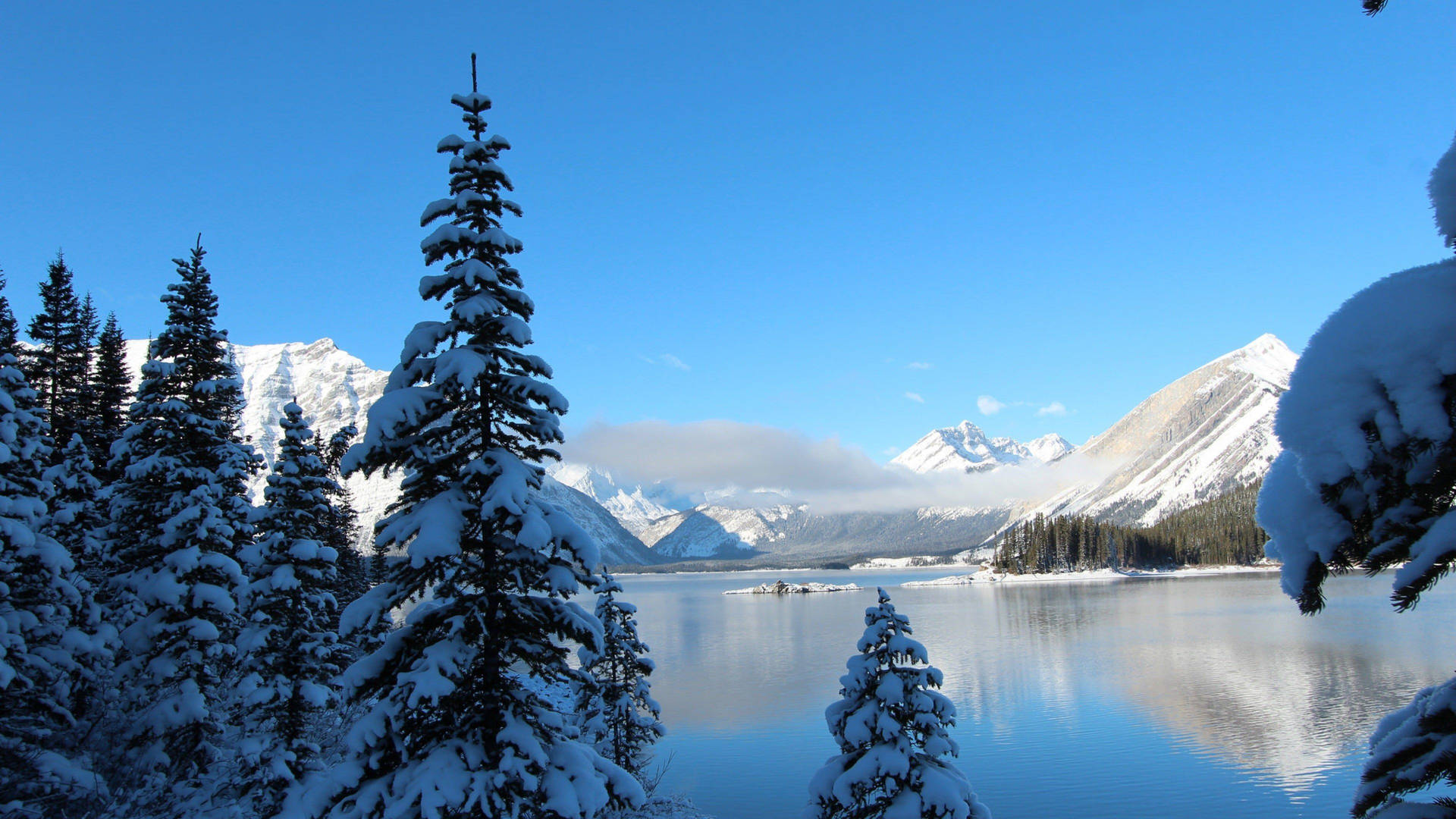 Vivaa Magia Do Inverno Com Uma Vista Incrível Em 4k Papel de Parede