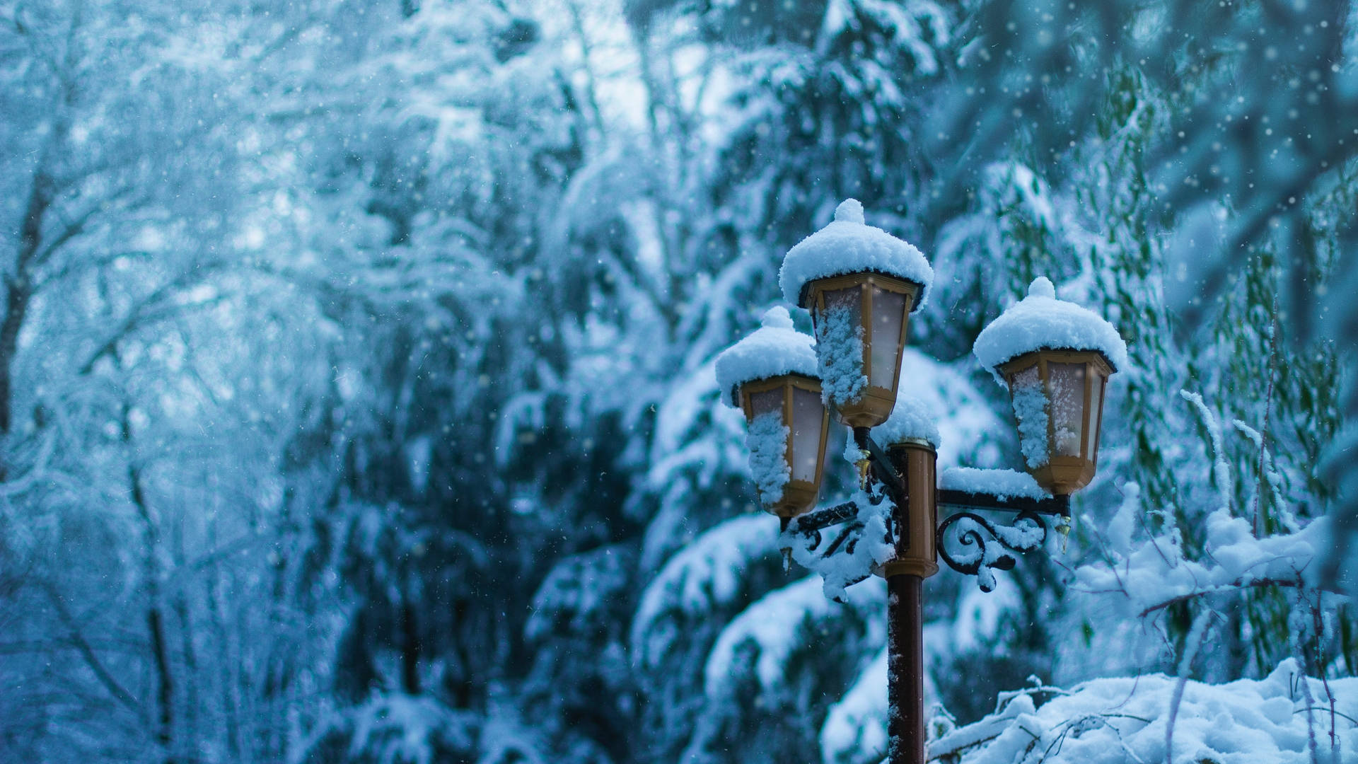 Papelde Parede Incrível De Inverno Com Poste De Luz Em 4k. Papel de Parede