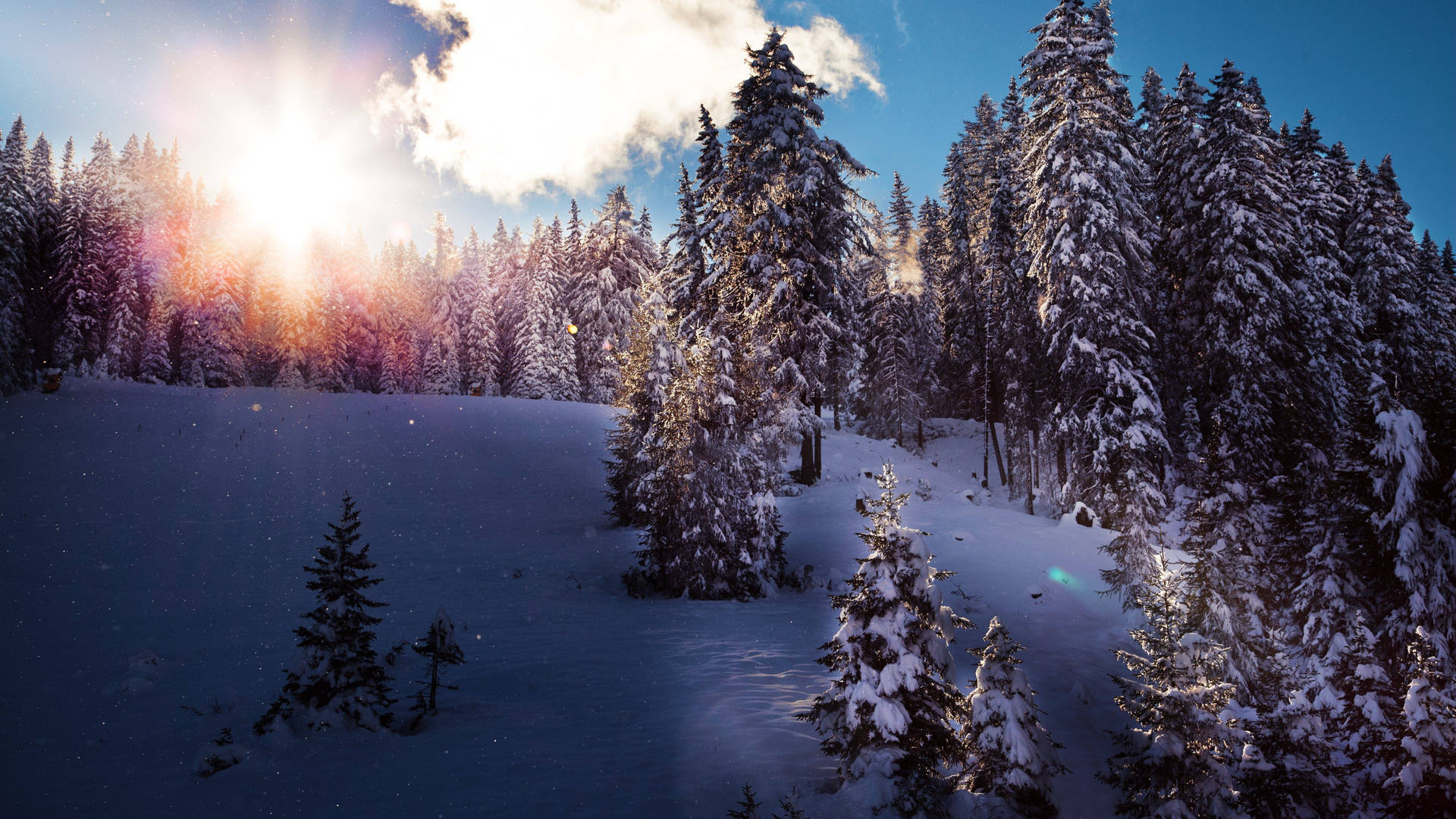 Amazing 4K Winter Sunrise Wallpaper
