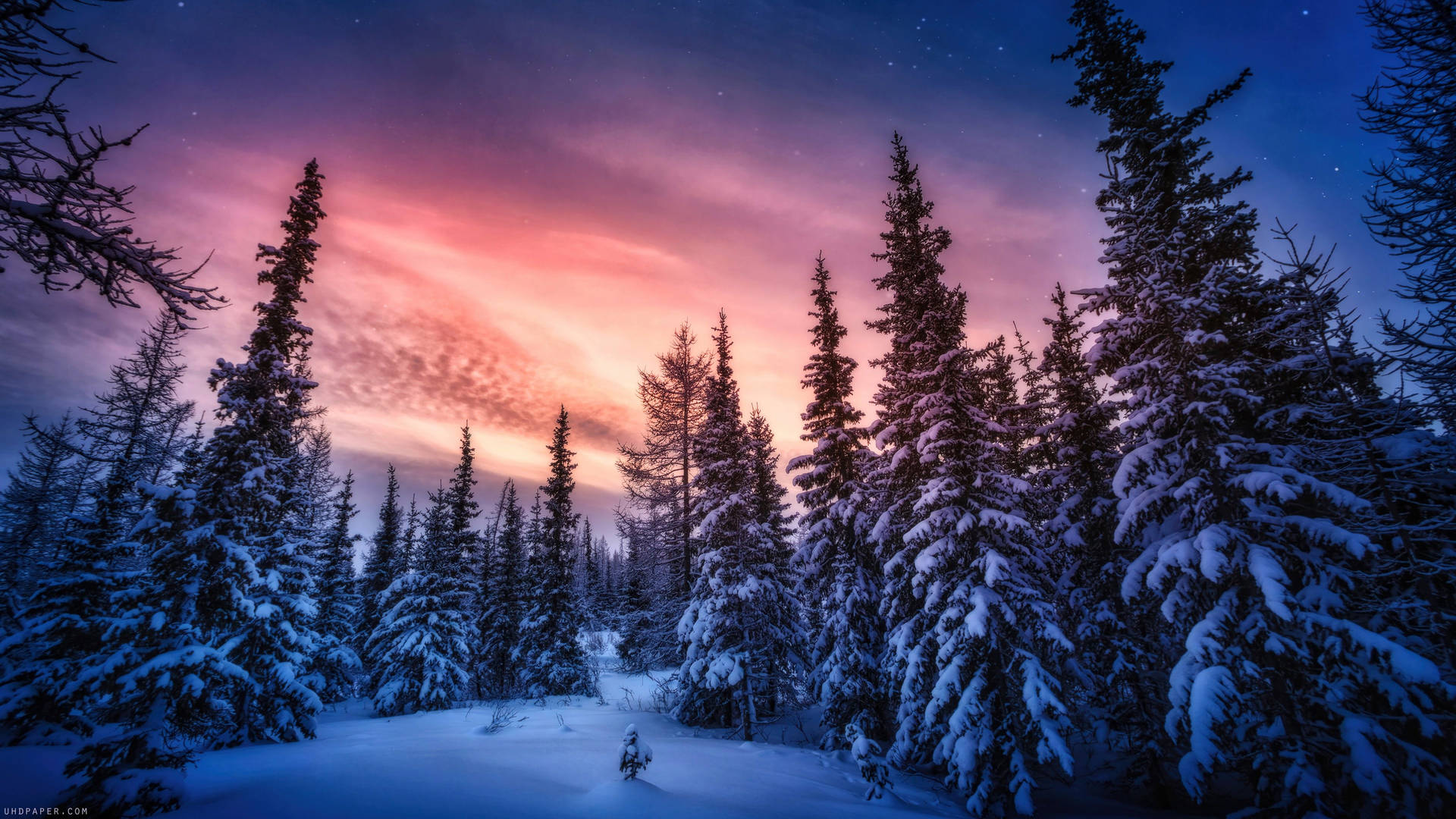 Disfrutade Las Impresionantes Vistas Invernales. Fondo de pantalla