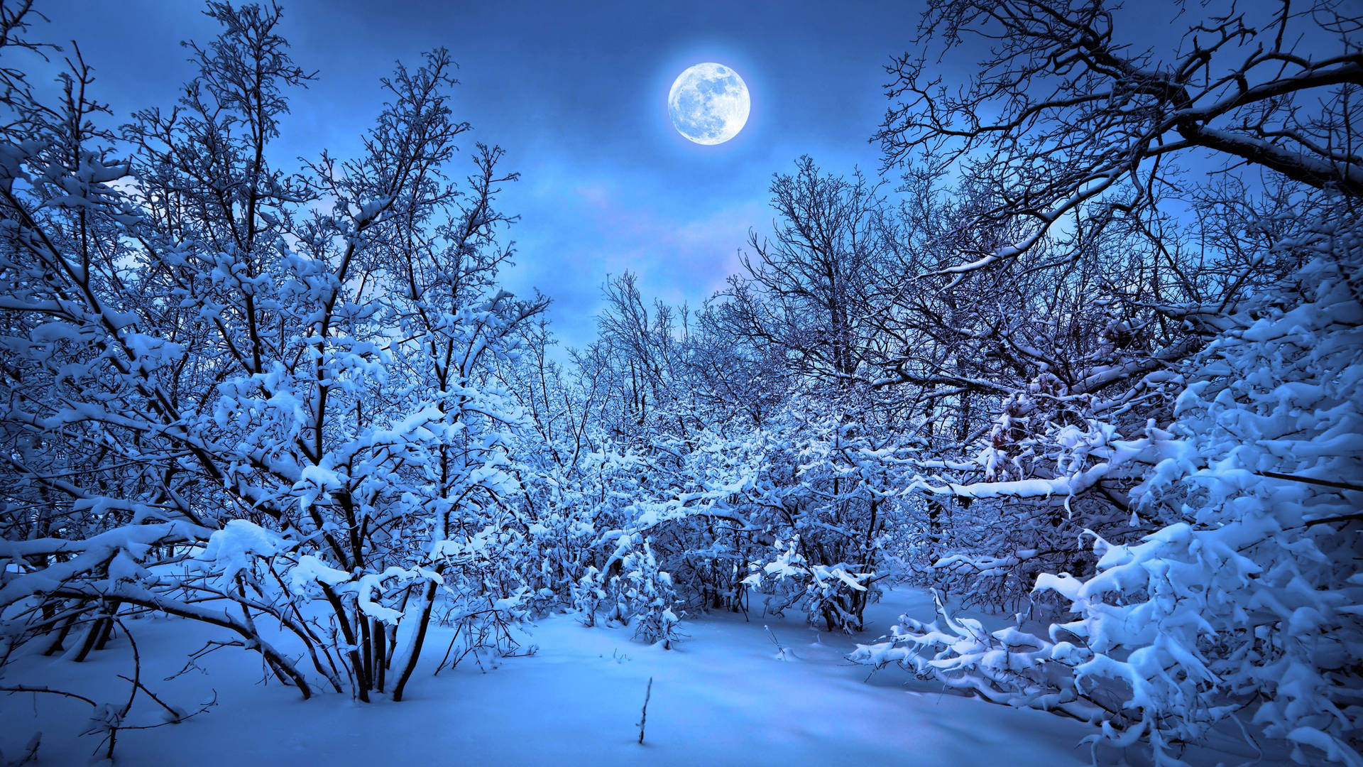 Amazing 4K Winter Full Moon Wallpaper