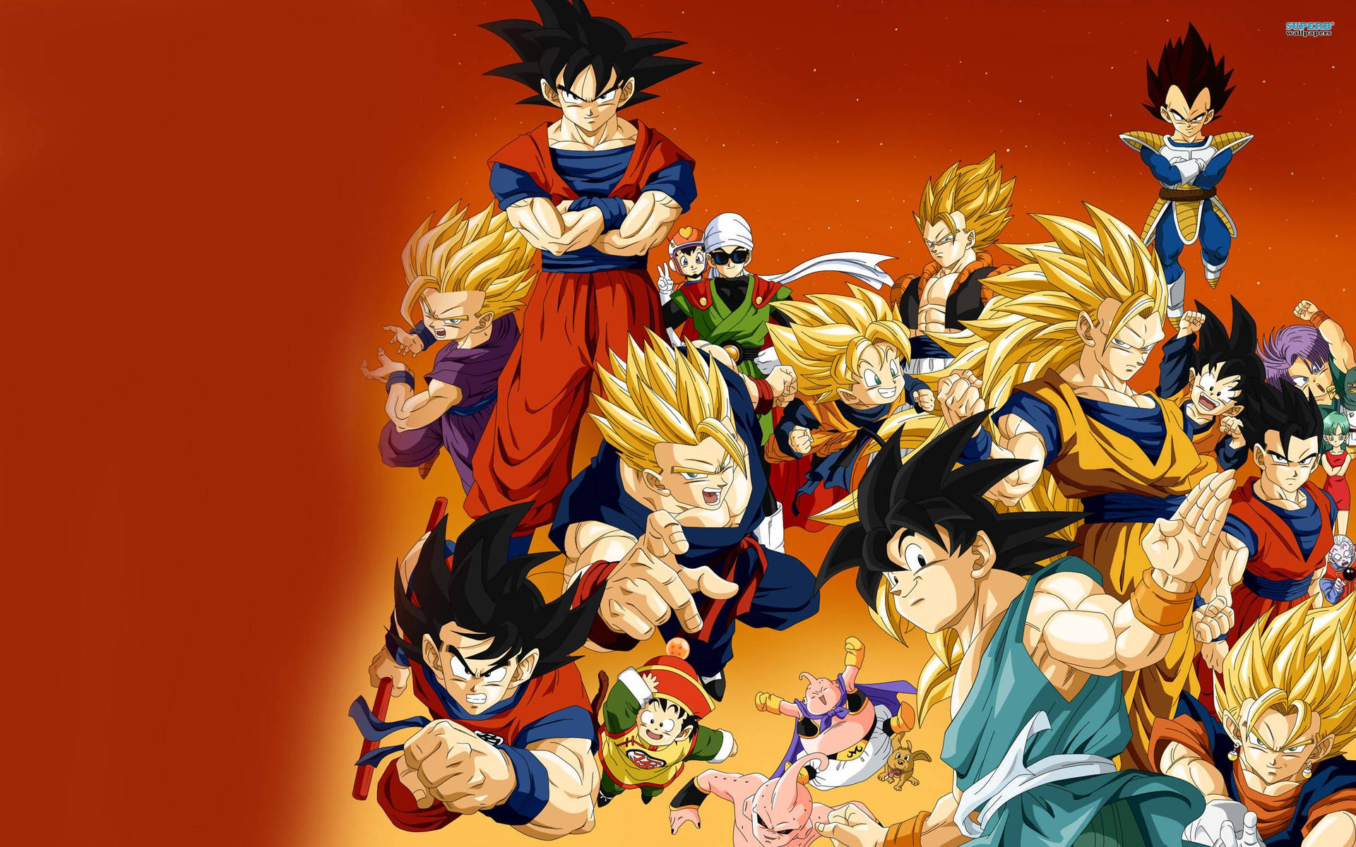 The wide cast of beloved characters from the classic Dragon Ball Z TV Series Wallpaper