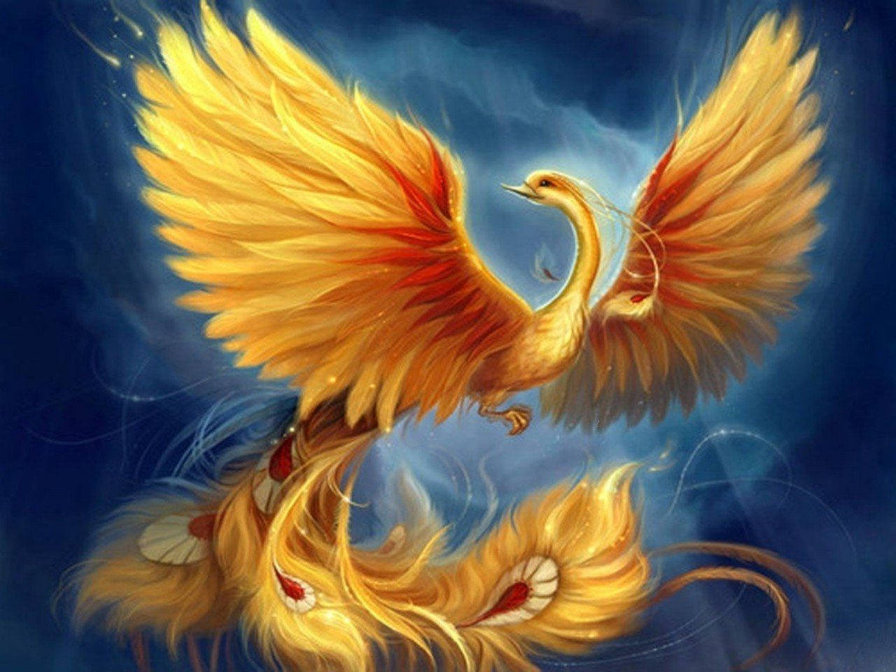Amazing Phoenix Artwork
