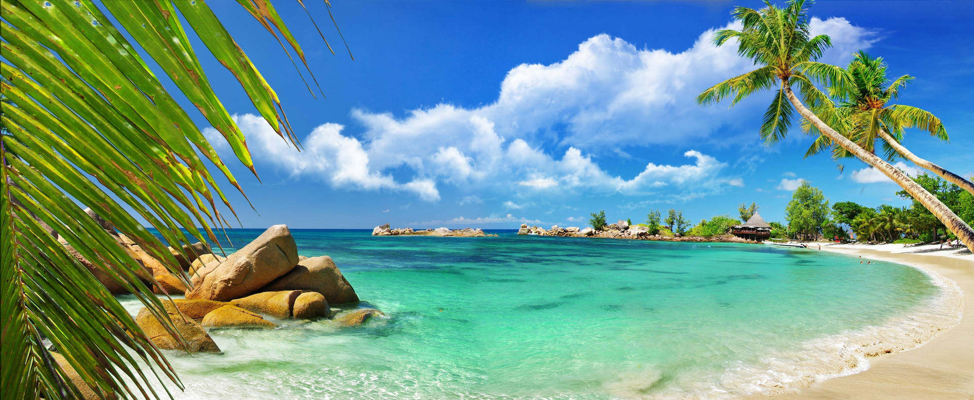 Amazing Seychelles Tropical View