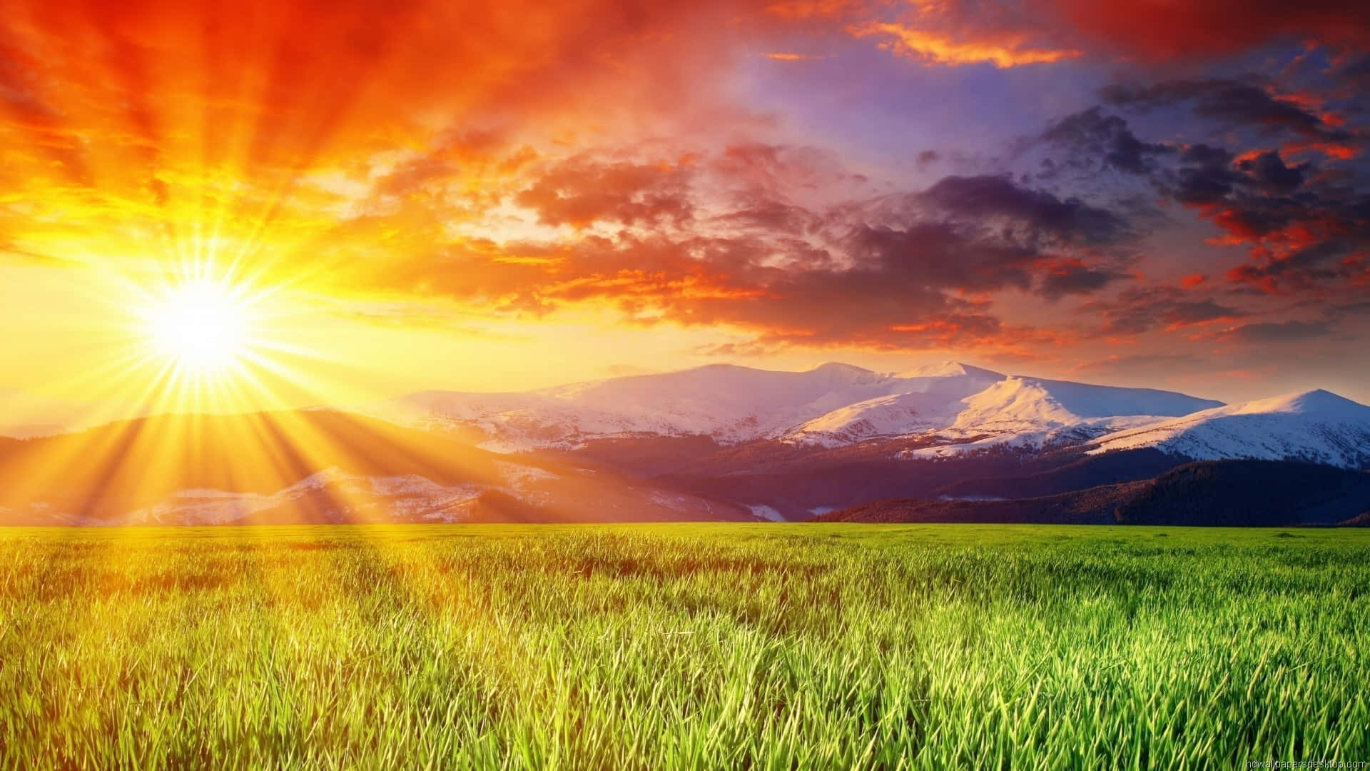 Amazing Sunny Rays During Sunset Wallpaper