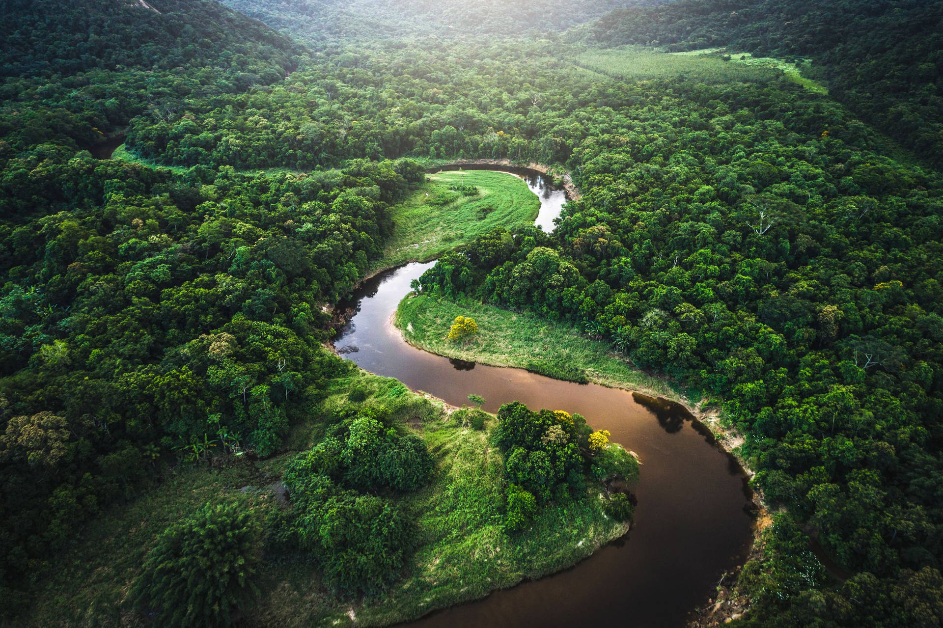 Foresta Pluviale Amazzonica Sfondo