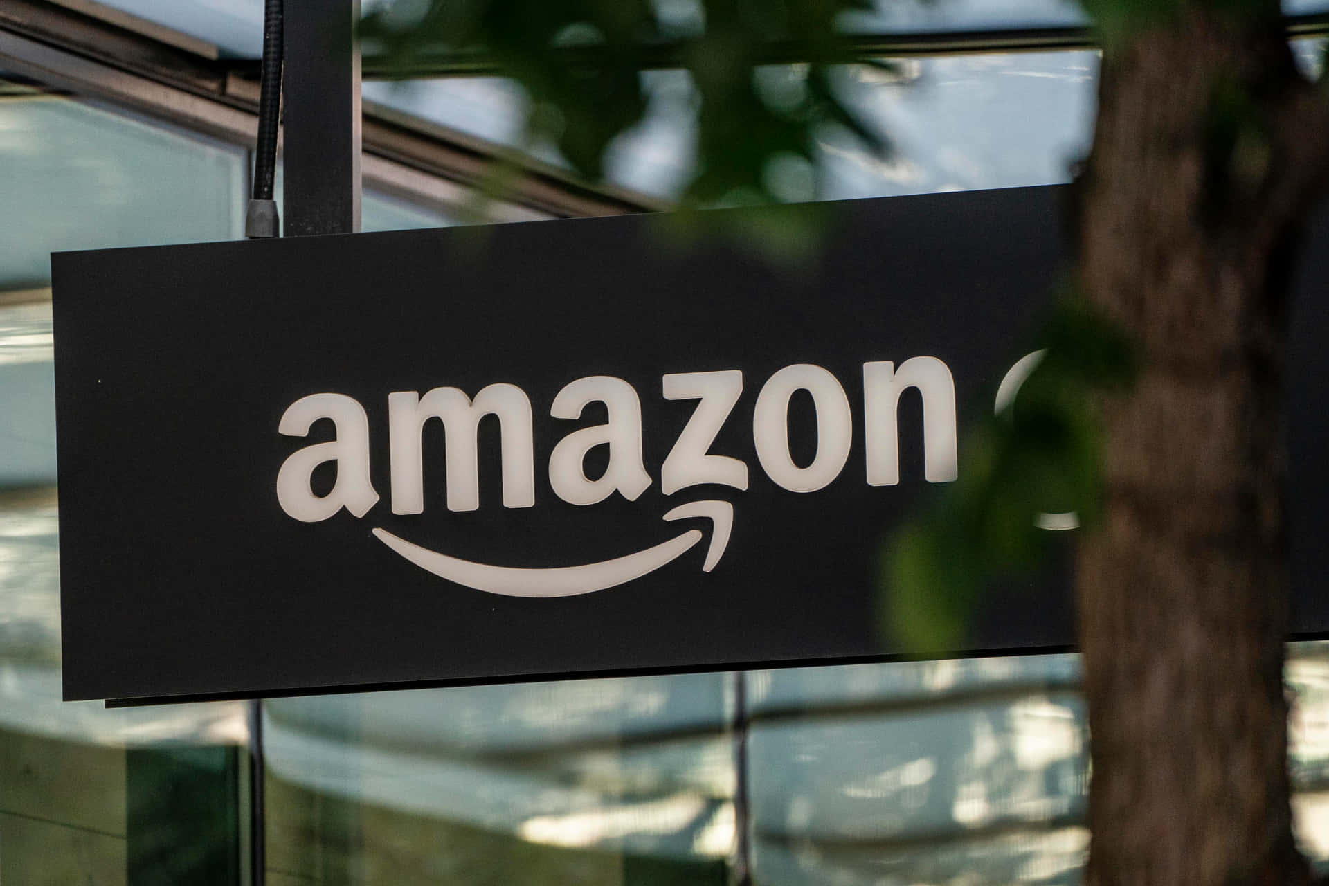 Amazon UK skilt nær træstammer Wallpaper