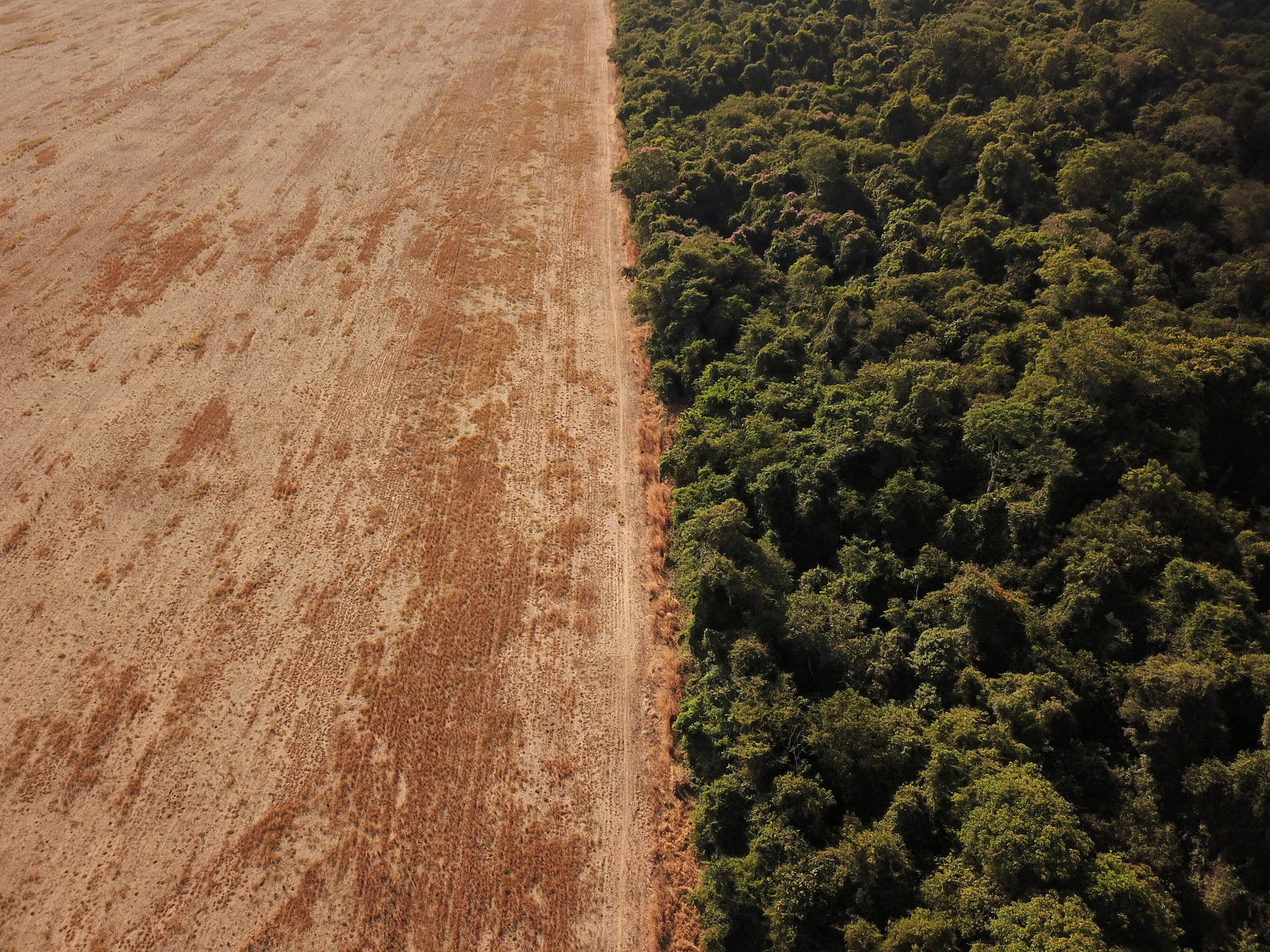 Áreade Deforestación En El Amazonas, Brasil. Fondo de pantalla