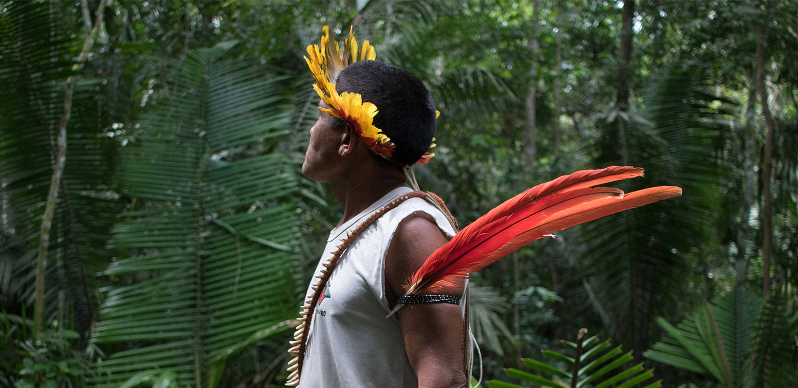 Amazonasbrasilien Indigener Mann Wallpaper