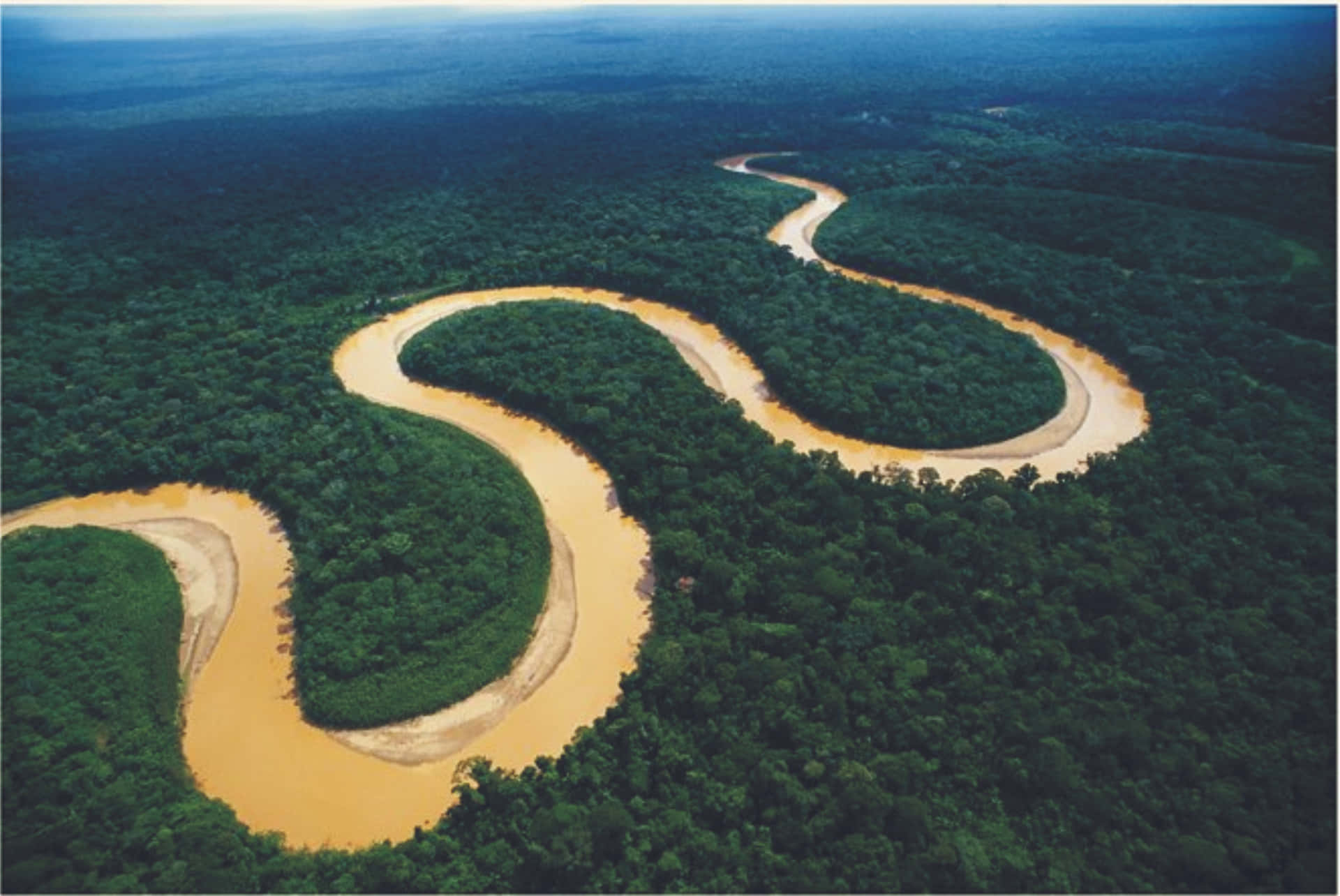 Amazonasbaggrund.
