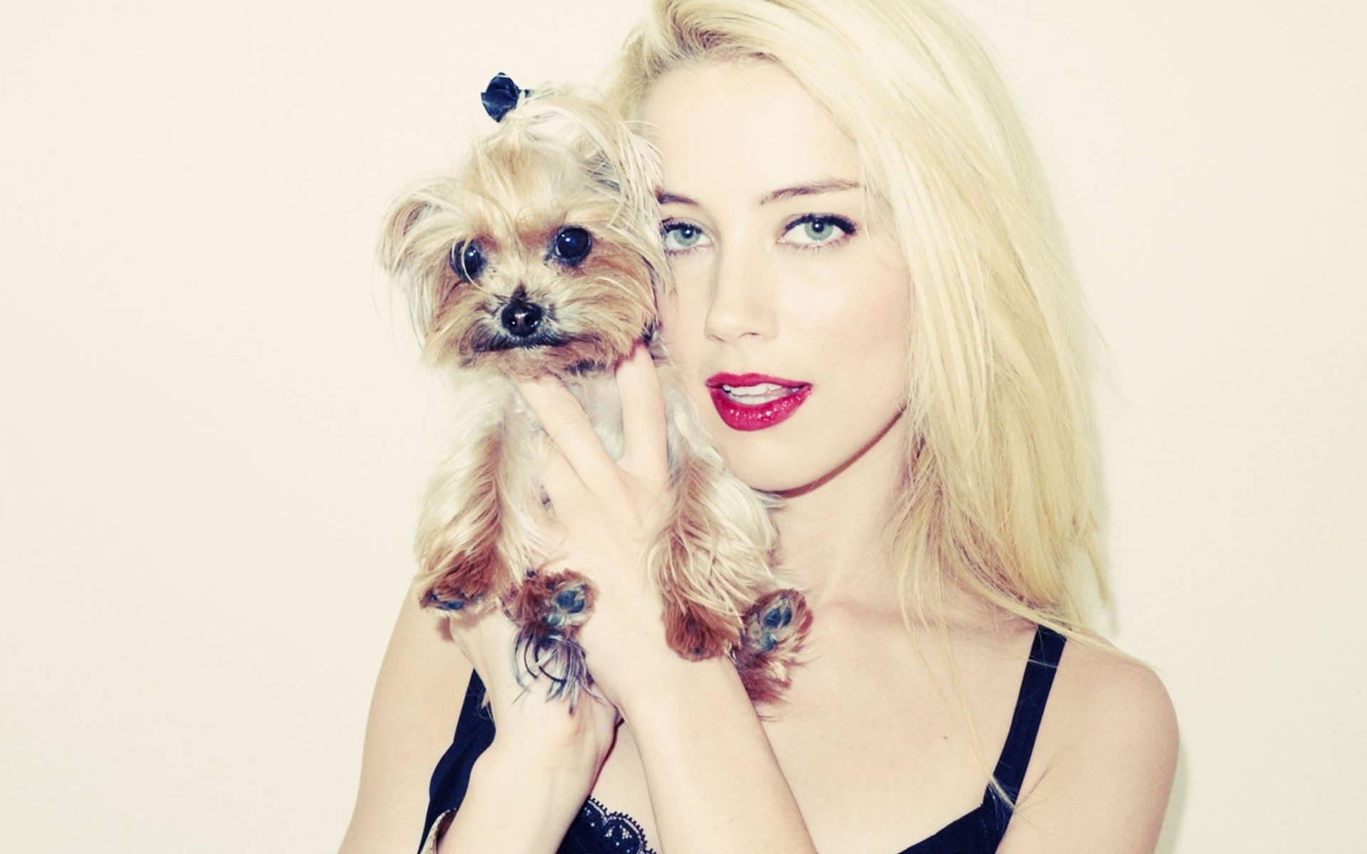 Amber Heard And Terrier Boo Wallpaper