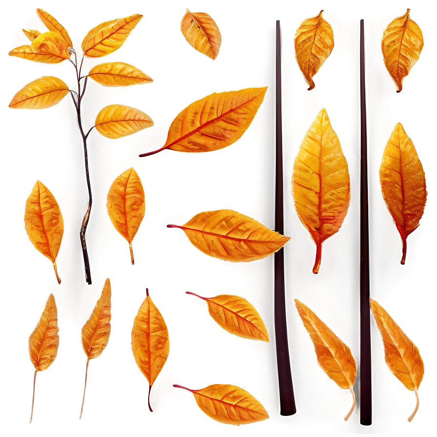 Amber Leaves Fall Png 06132024 PNG