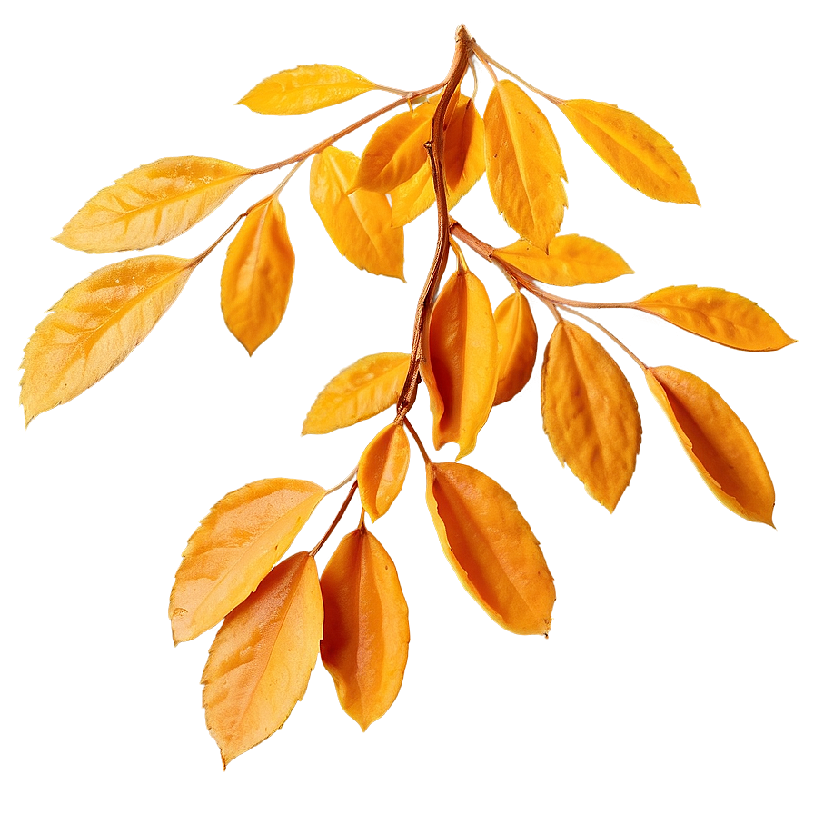 Amber Leaves Fall Png Msk61 PNG