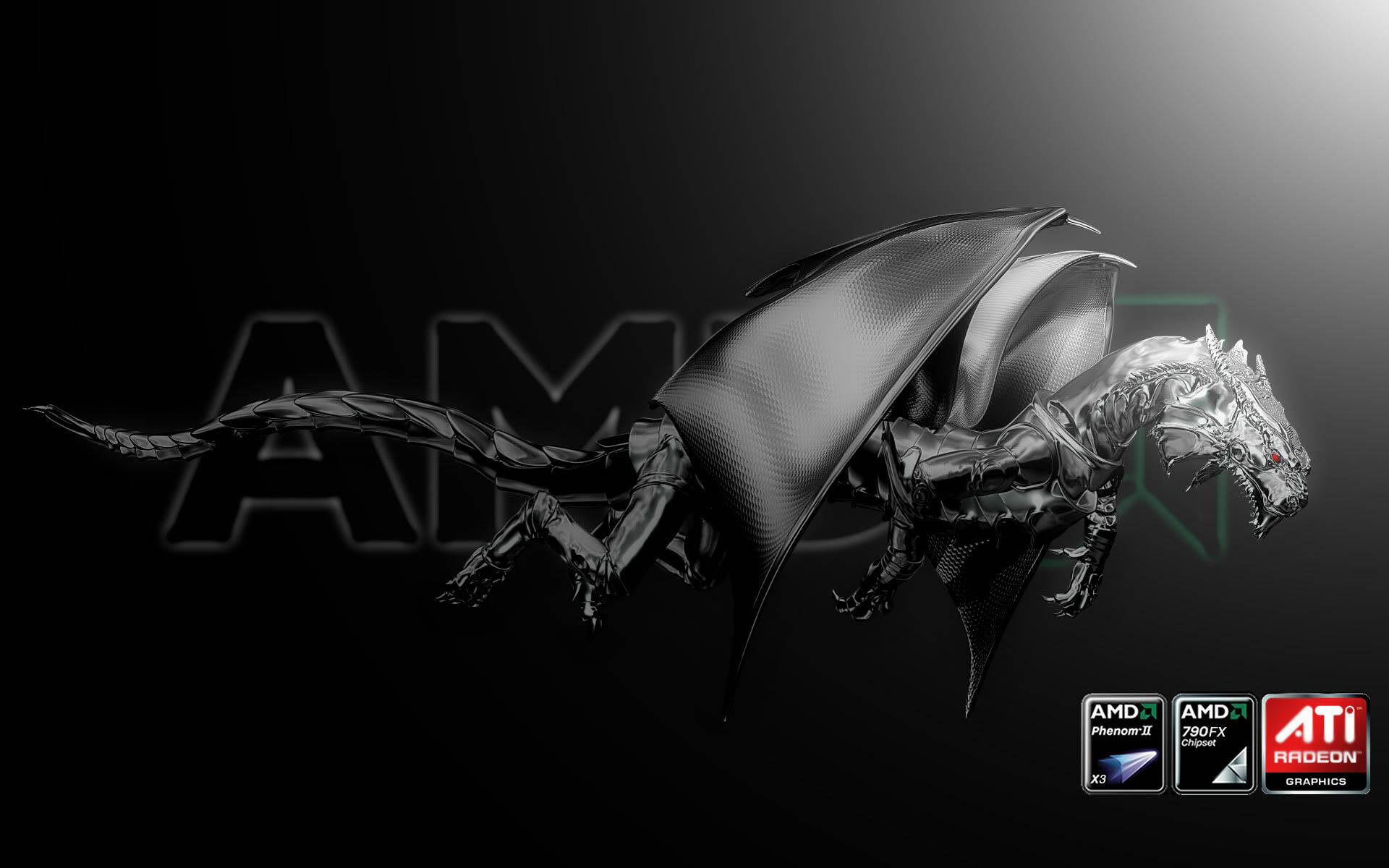 Amd Logo Flying Dragon Wallpaper