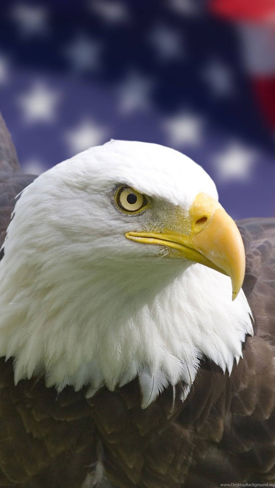 America Iphone Photo Of A Bald Eagle Wallpaper