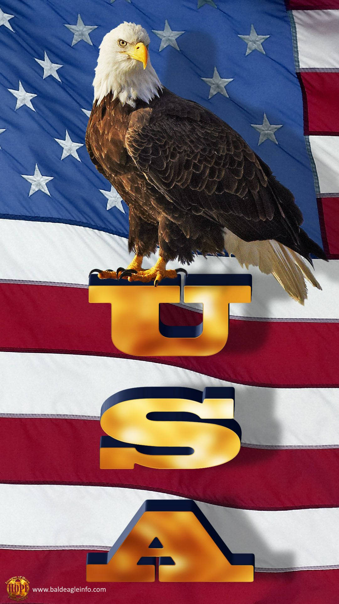 Eagle And The Flag Of America Iphone Wallpaper