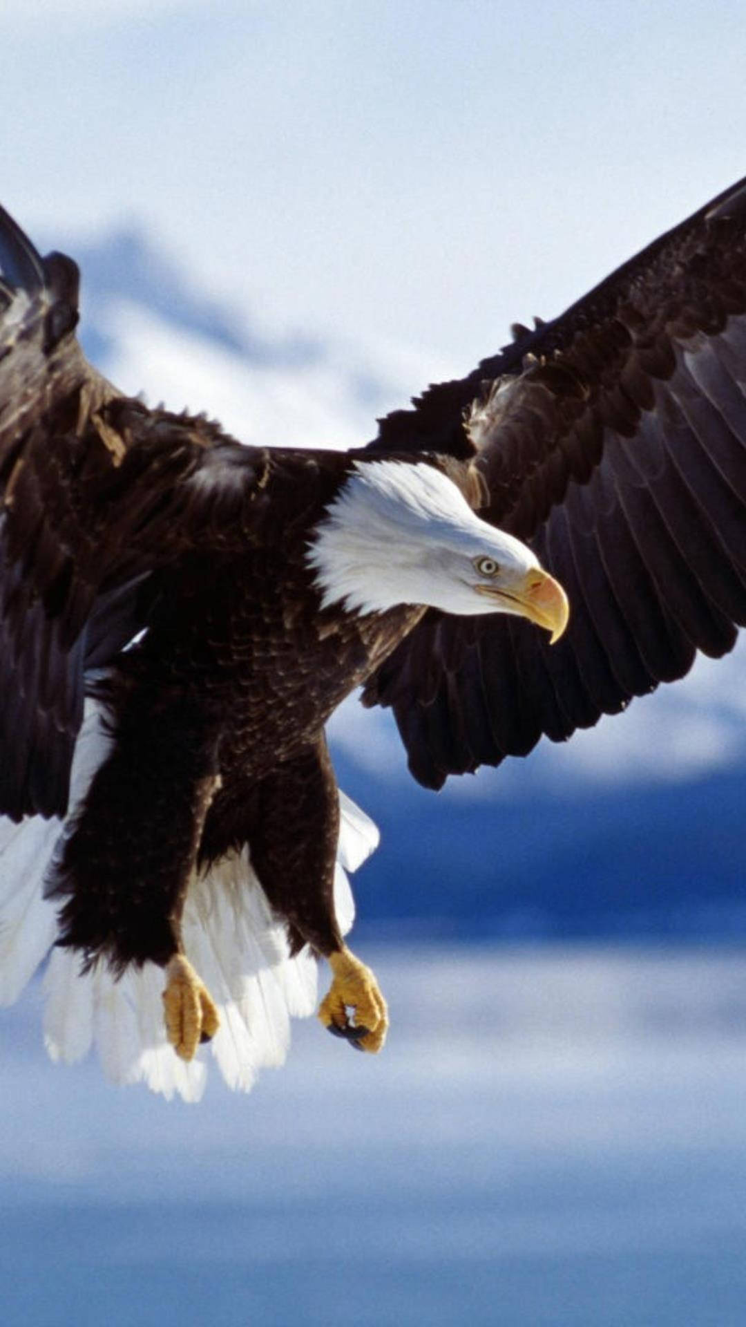 Amerikanischesiphone Mit Einem Majestätisch Fliegenden Adler Wallpaper
